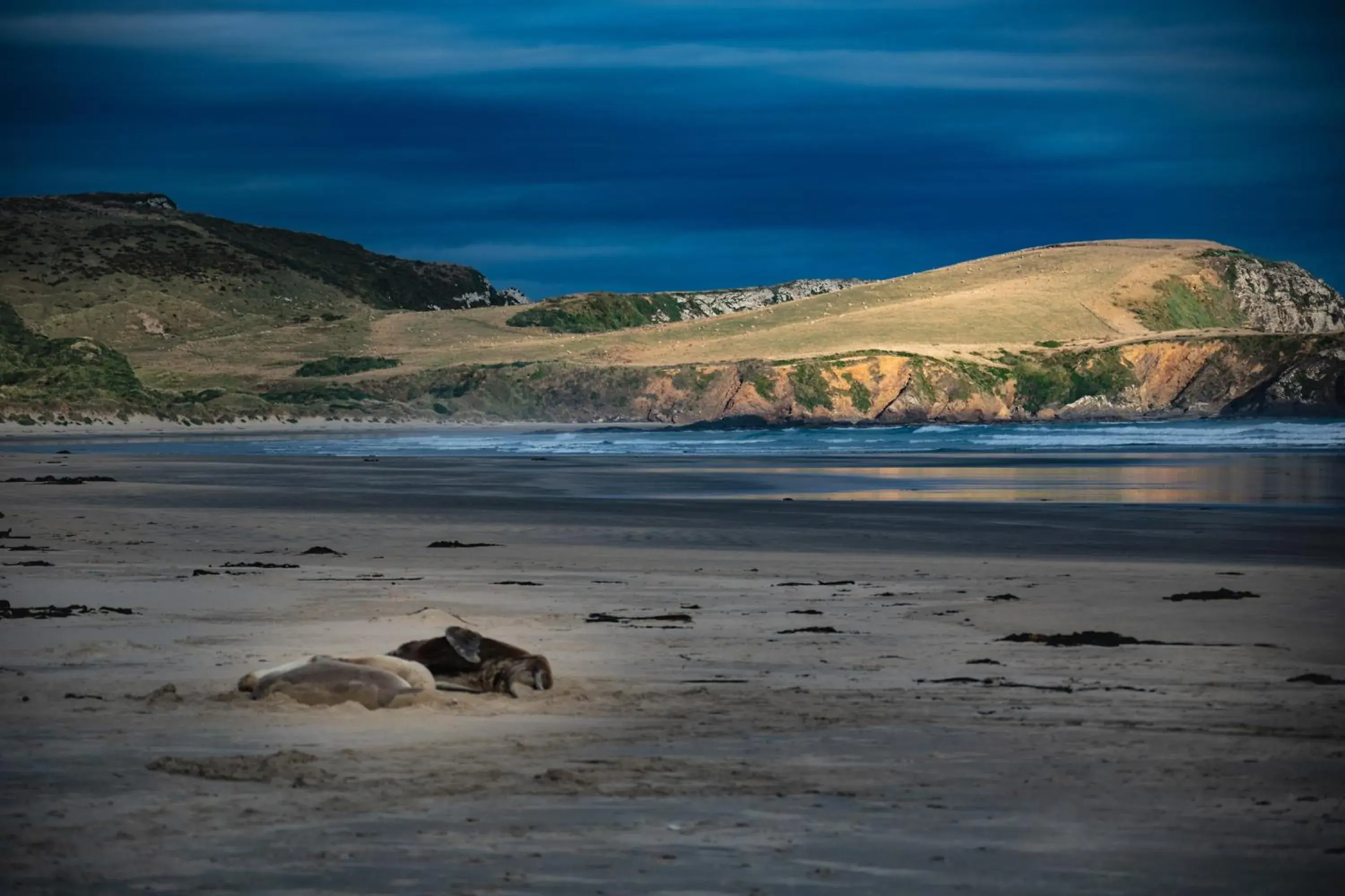 Catlins Newhaven Holiday Park Catlins Newhaven Holiday Park