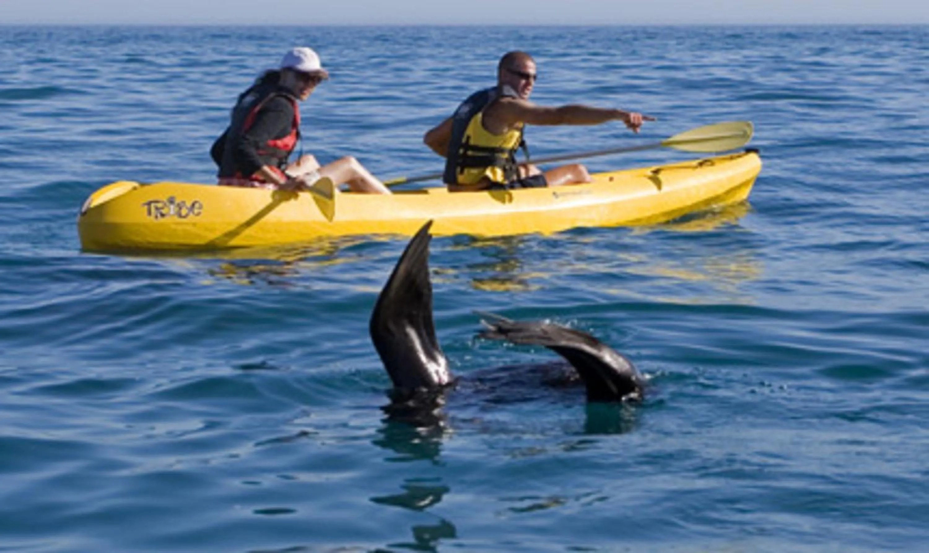 Sports in Catlins Newhaven Holiday Park