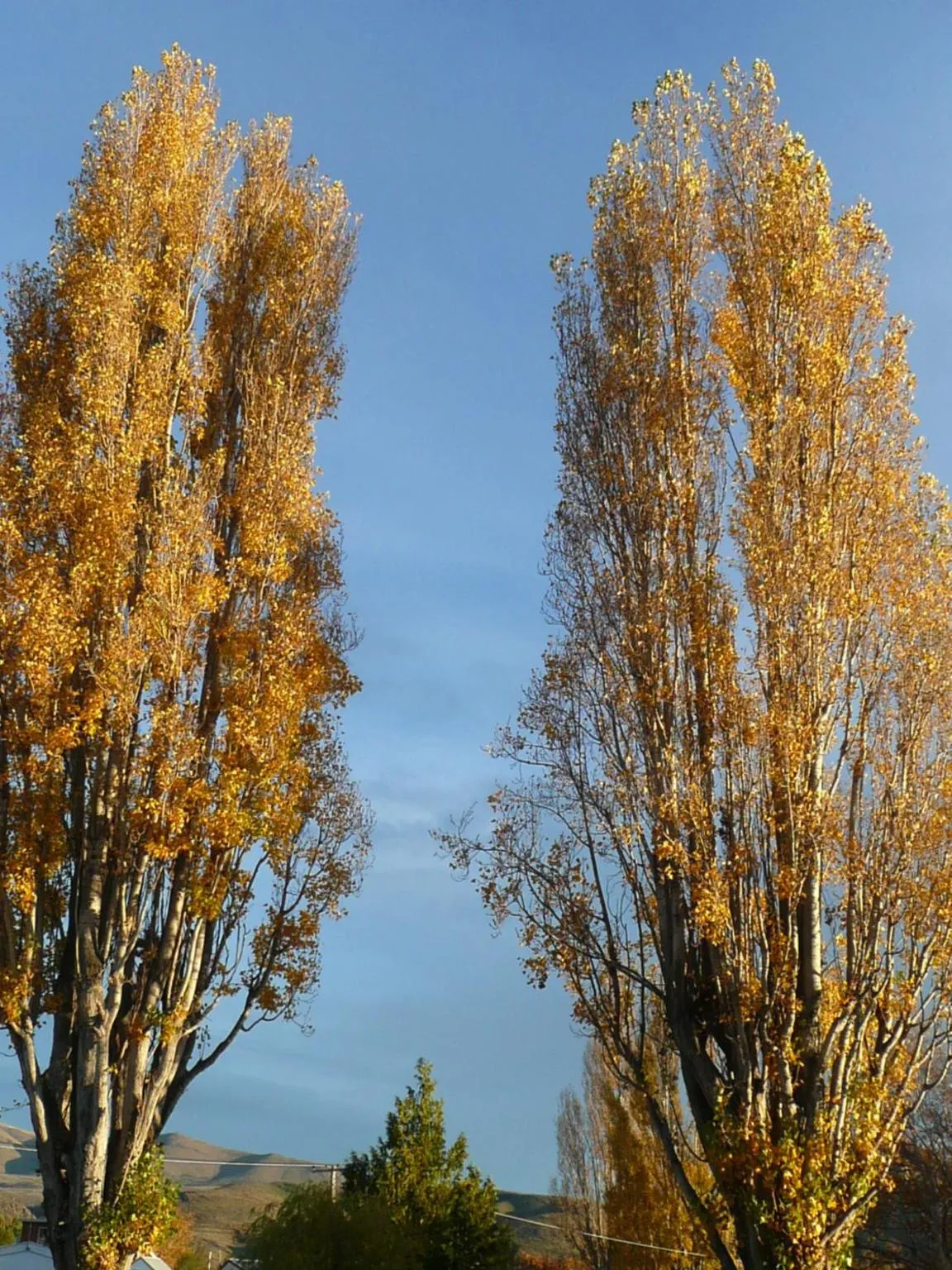 Autumn in Catlins Newhaven Holiday Park