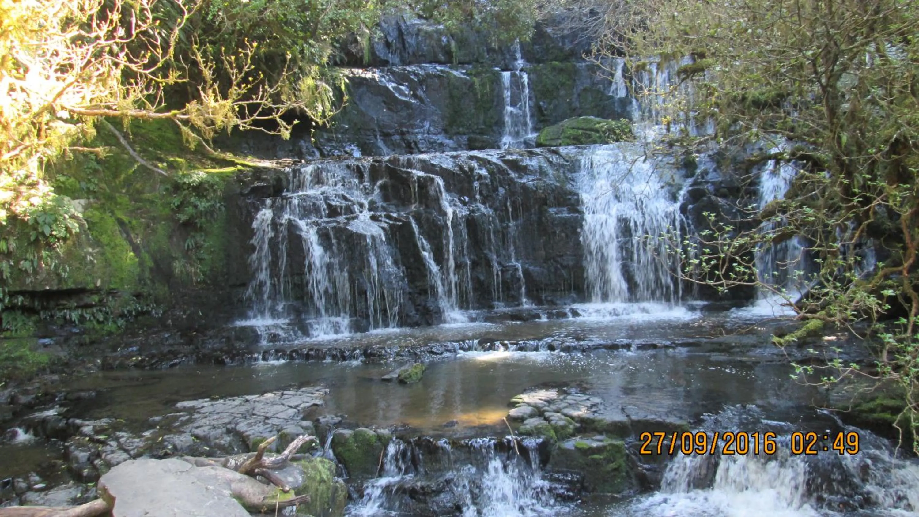 Nearby landmark in Catlins Newhaven Holiday Park