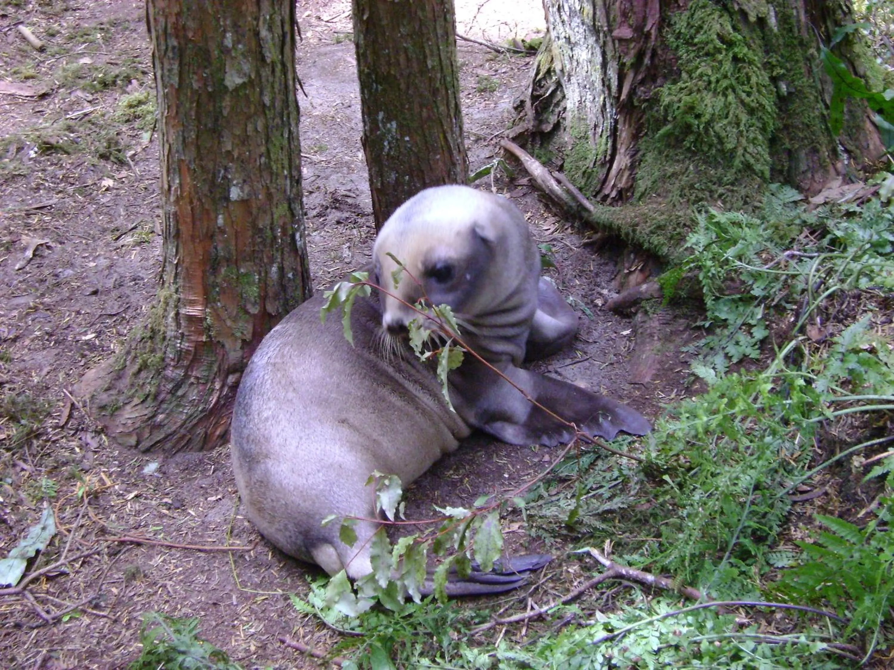 On site in Catlins Newhaven Holiday Park