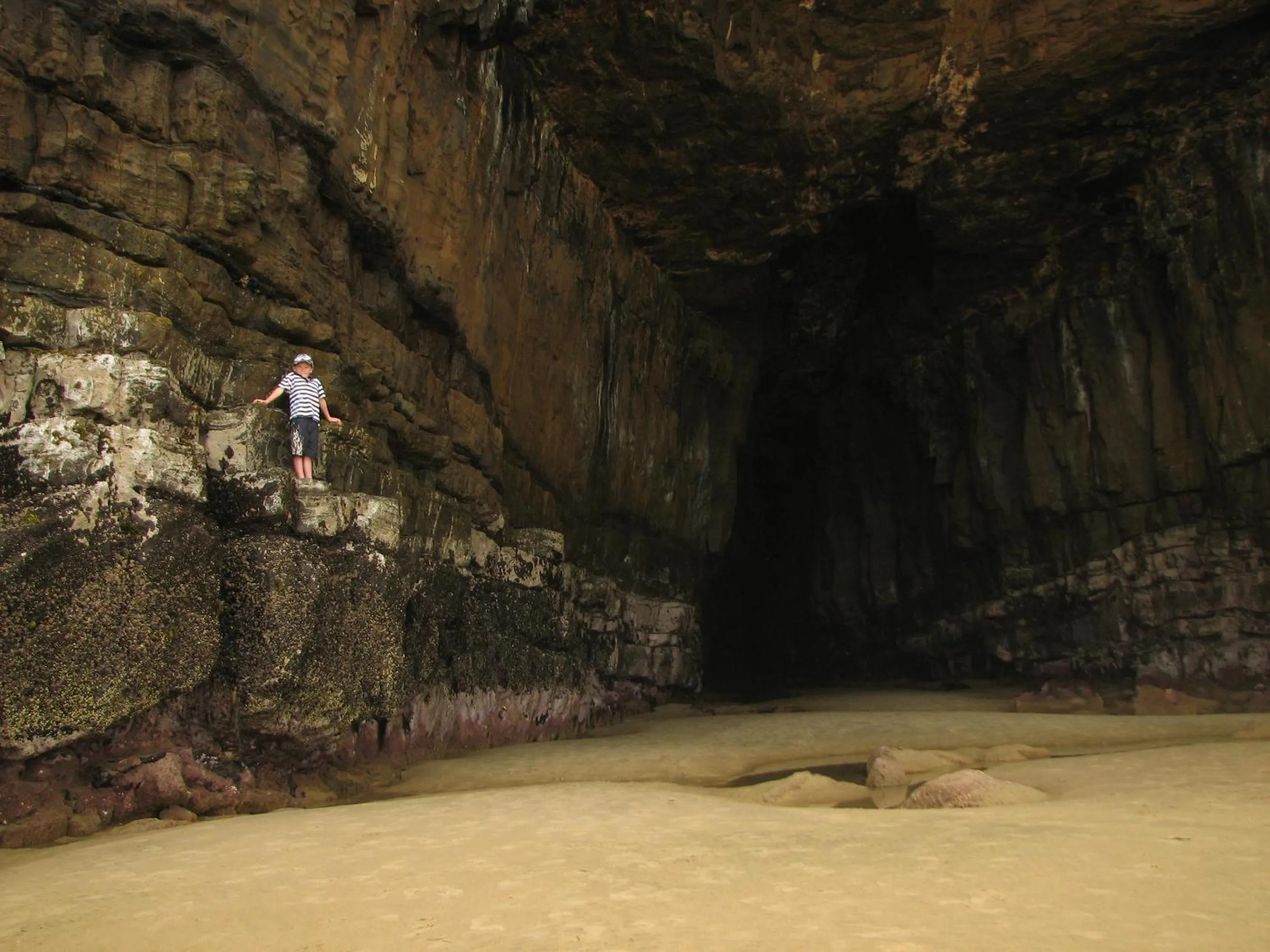 Nearby landmark in Catlins Newhaven Holiday Park