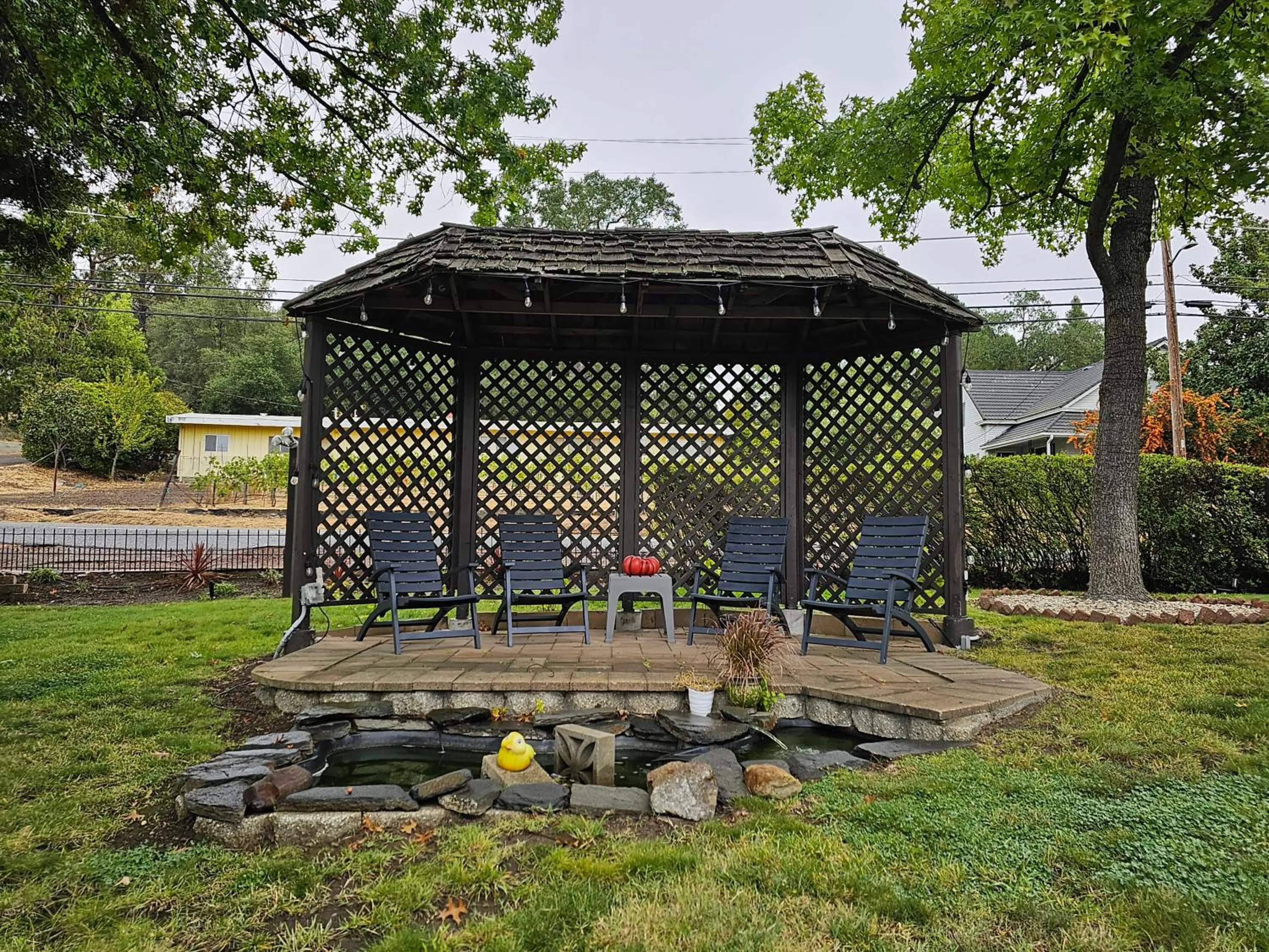 Garden view in The Inn at 161