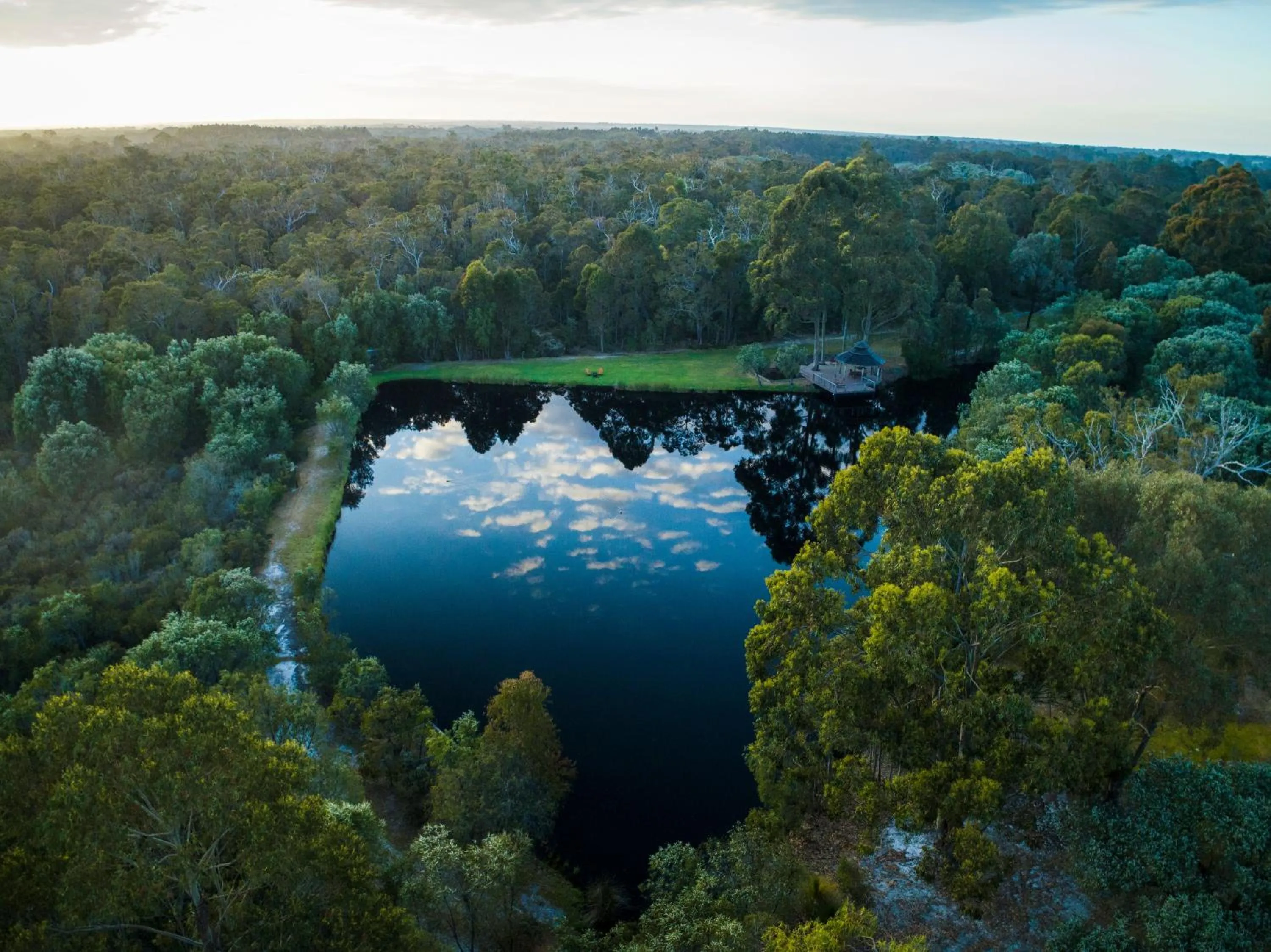 Garden in Forest Rise Chalets and Lodge