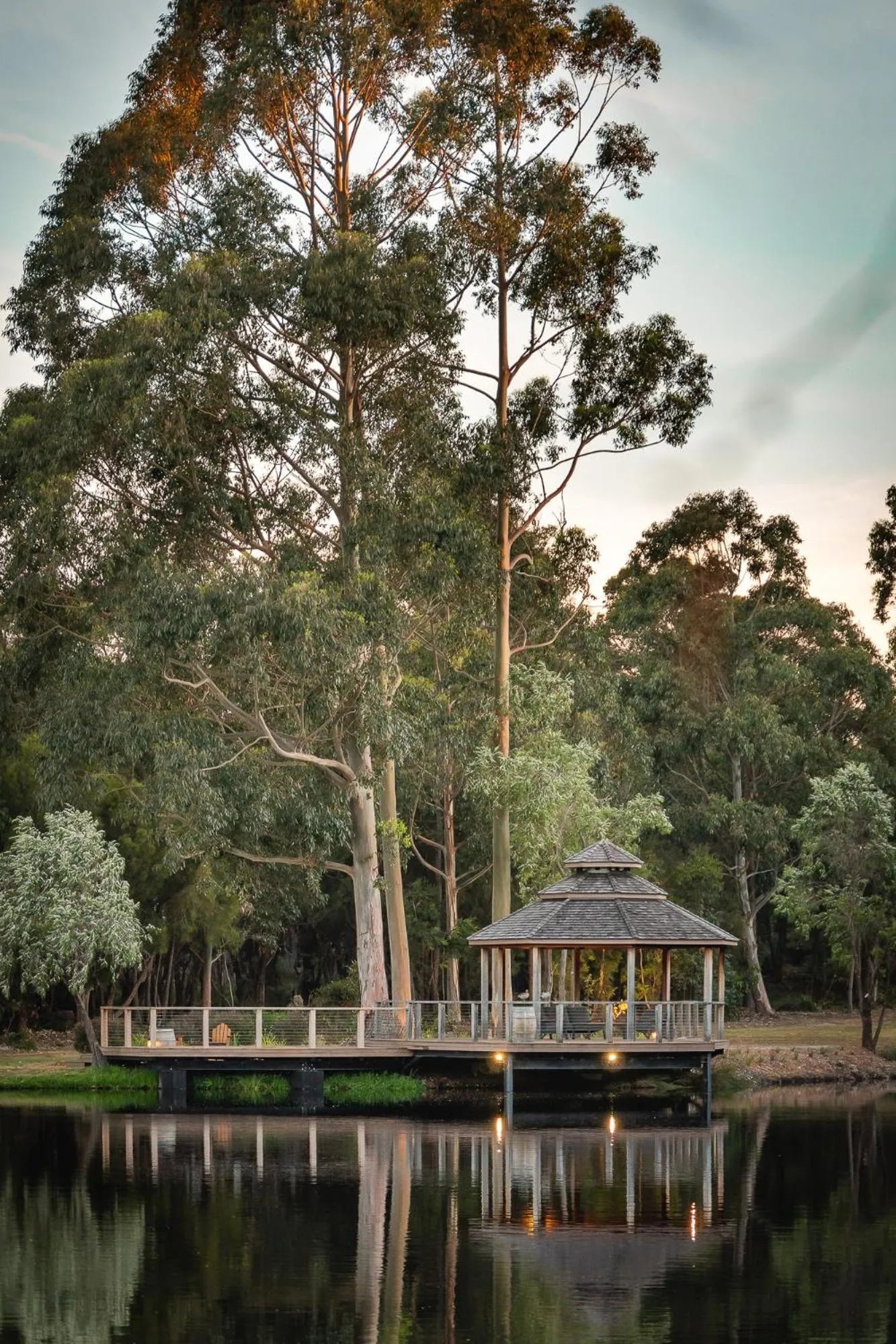 Natural landscape in Forest Rise Chalets and Lodge