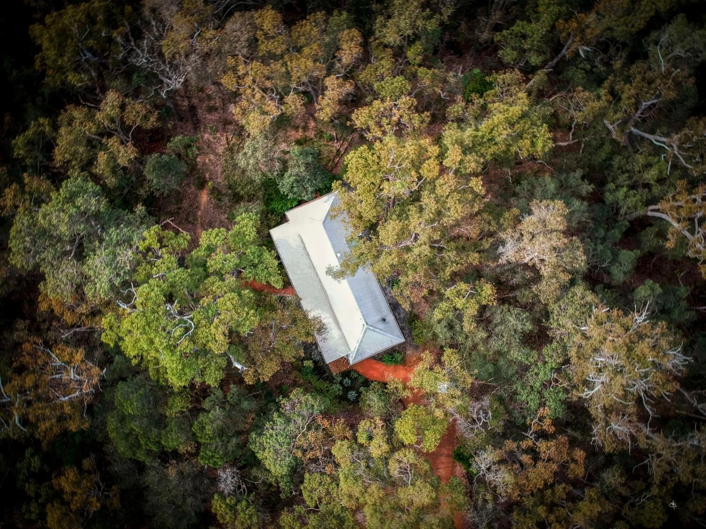 Natural landscape in Forest Rise Chalets and Lodge