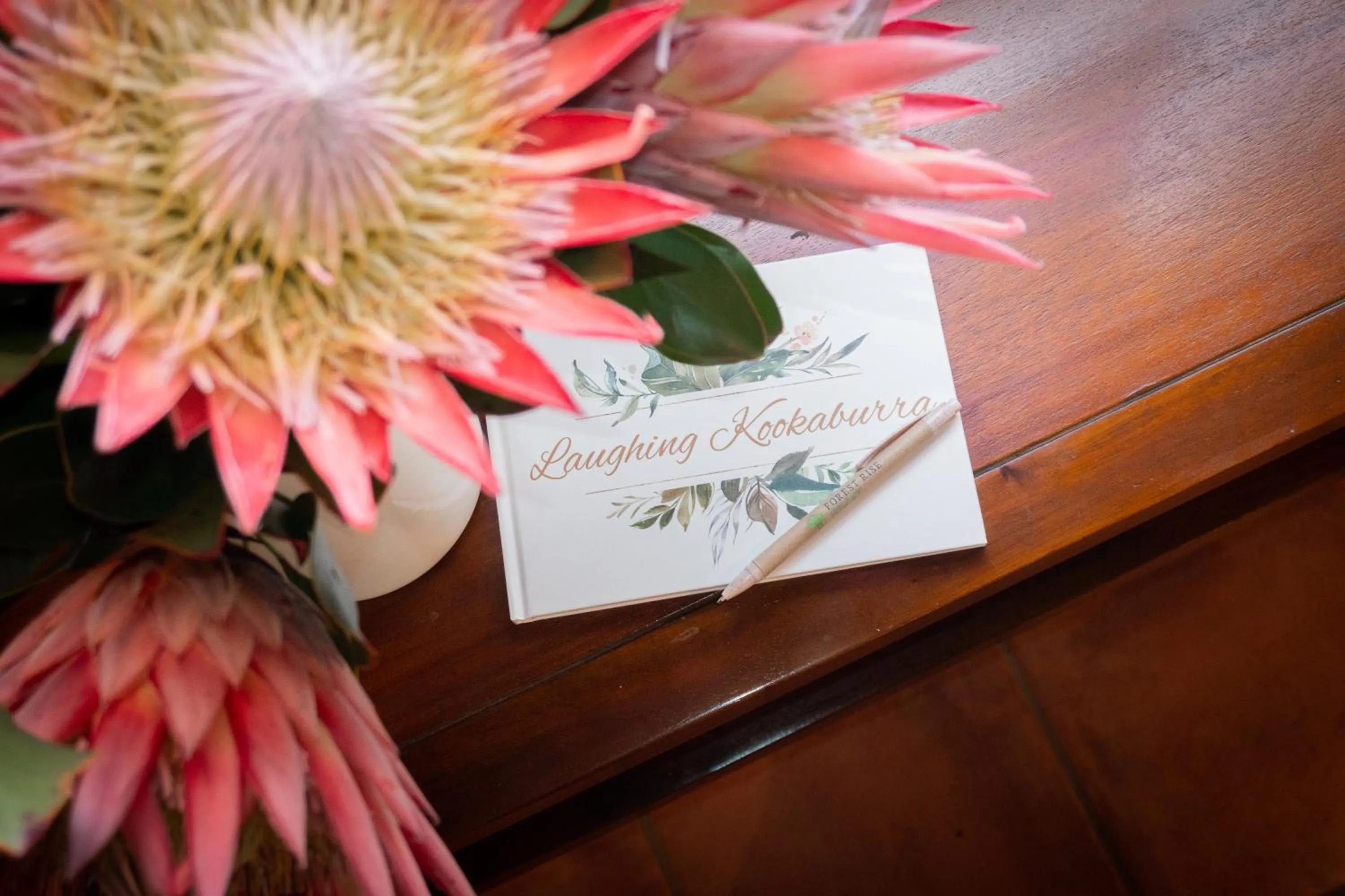 Guests in Forest Rise Chalets and Lodge