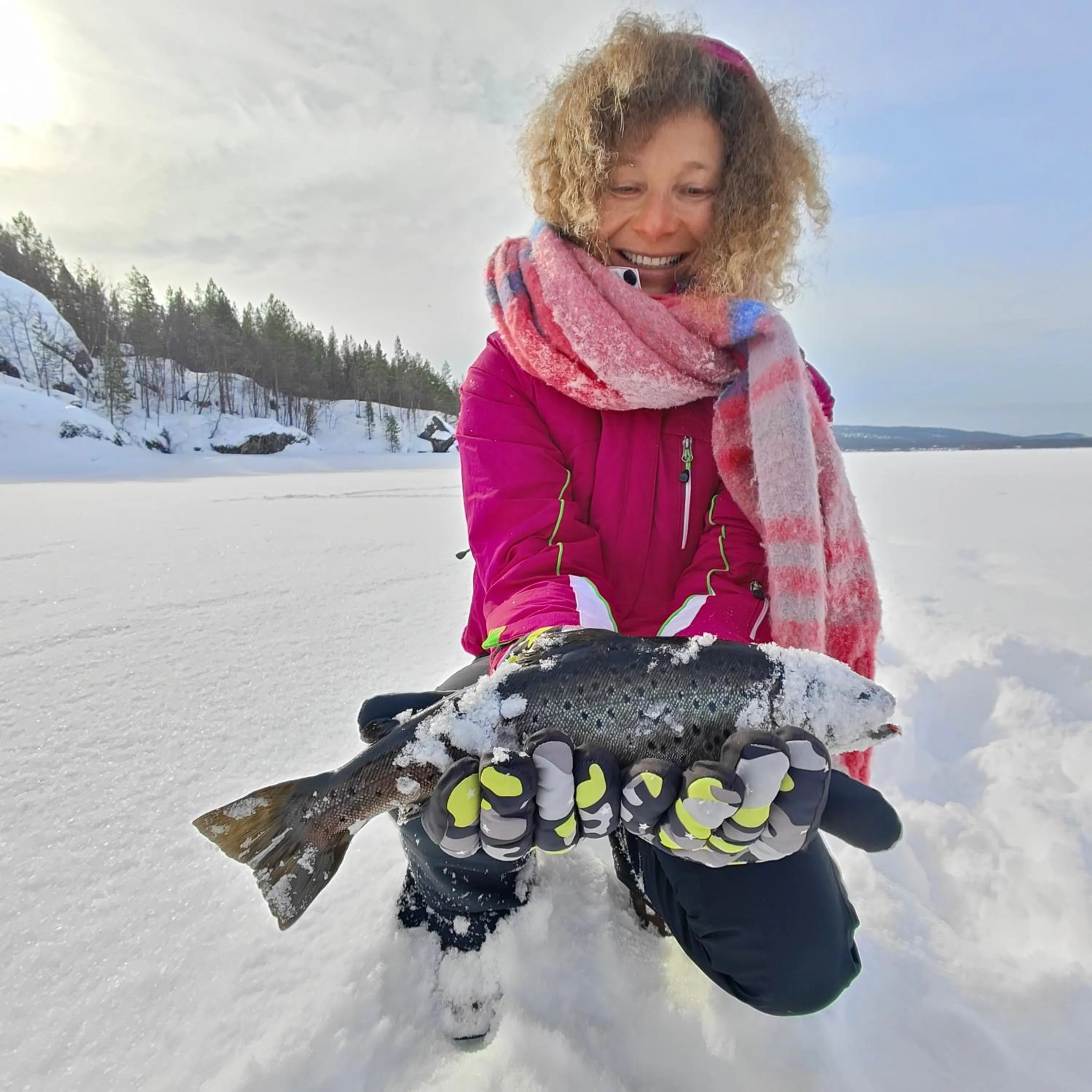 Lake Inari Mobile Cabins