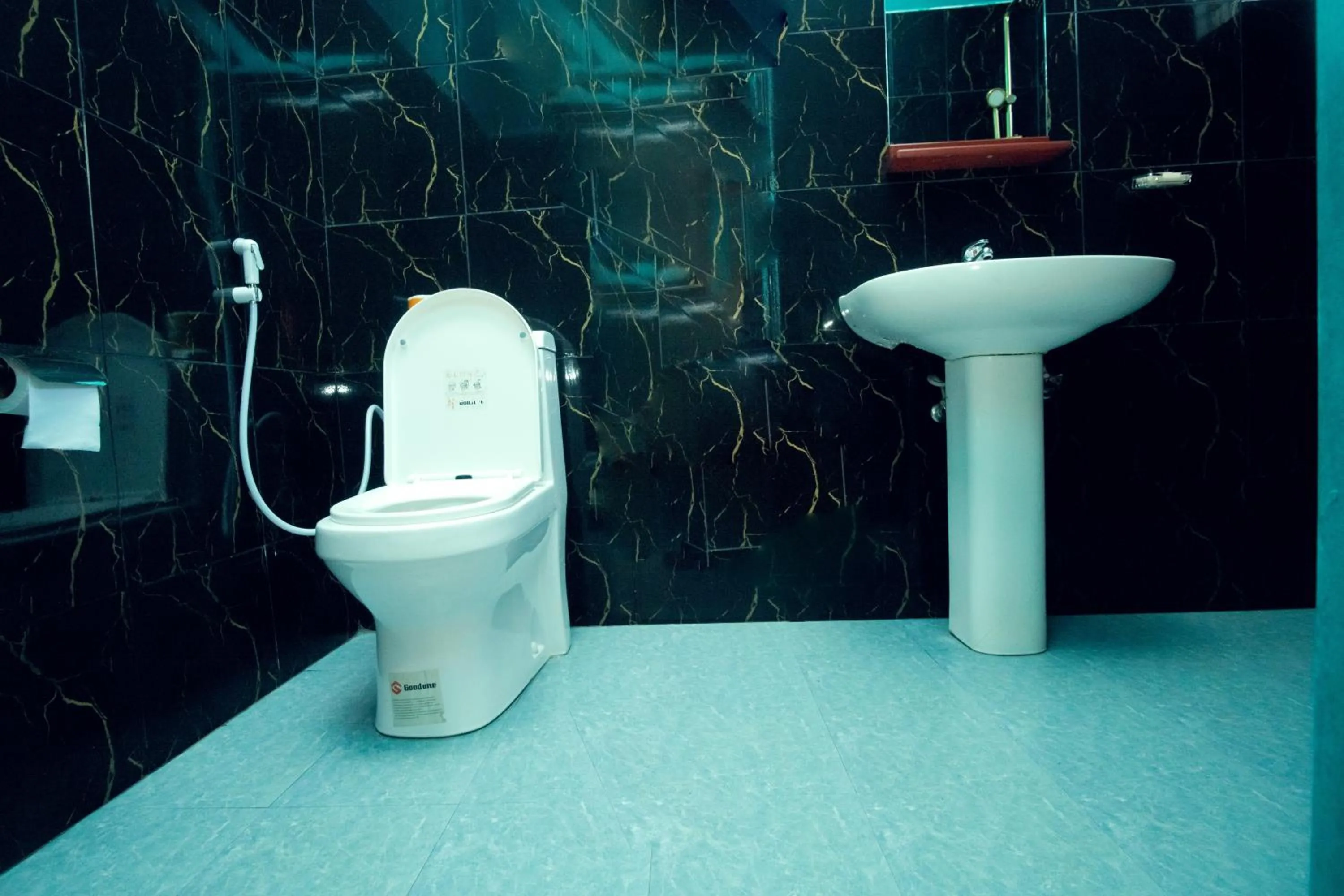 Toilet in La Casa Preciosa in Tanga