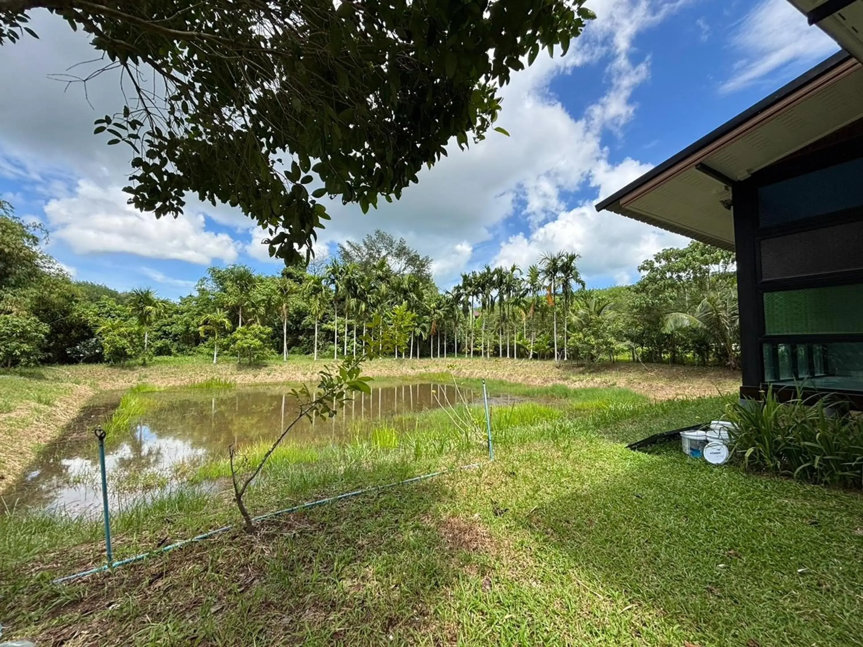 Property building in Moonlight Cottage Property building in Moonlight Cottage