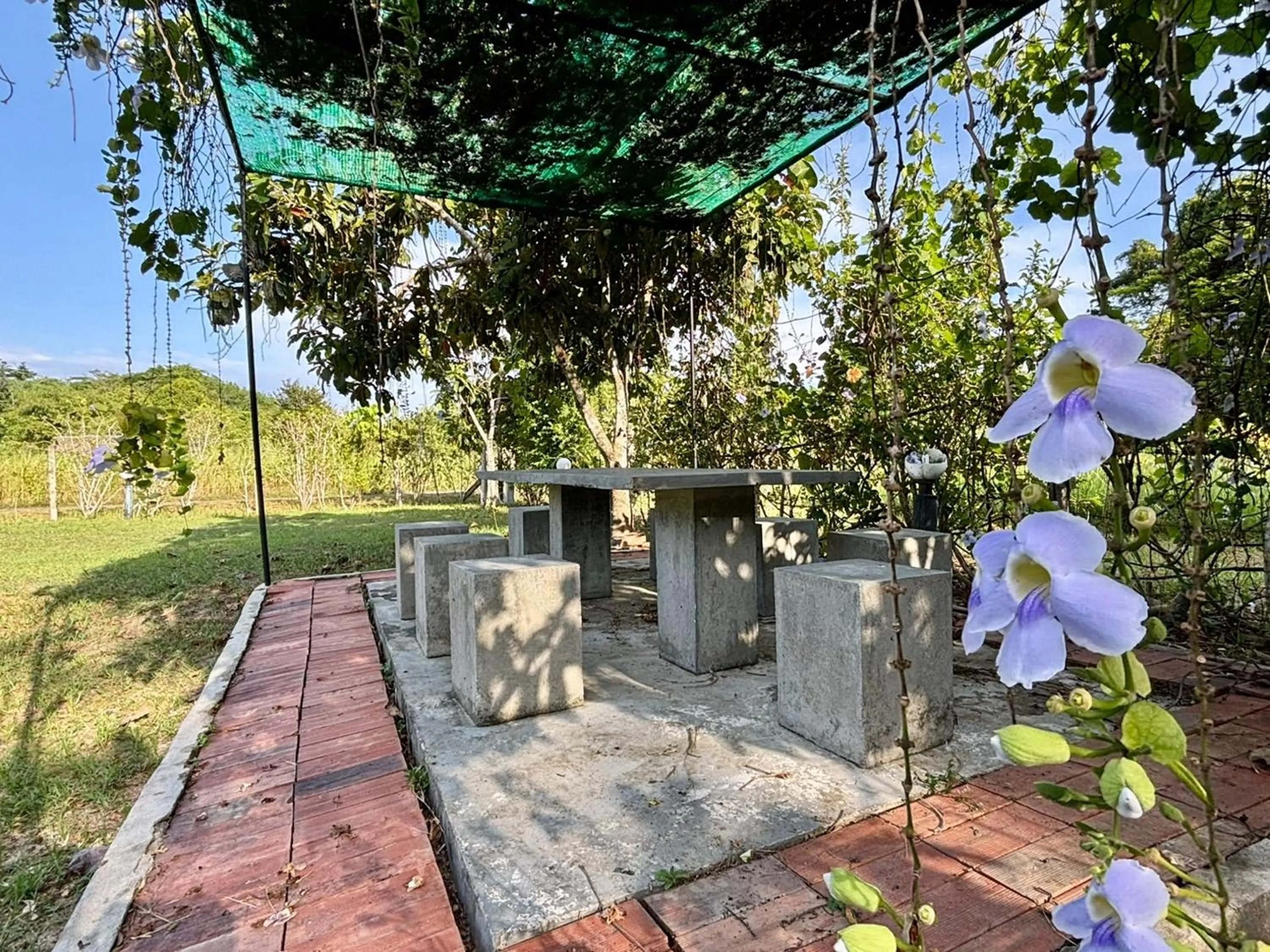 Patio in Moonlight Cottage