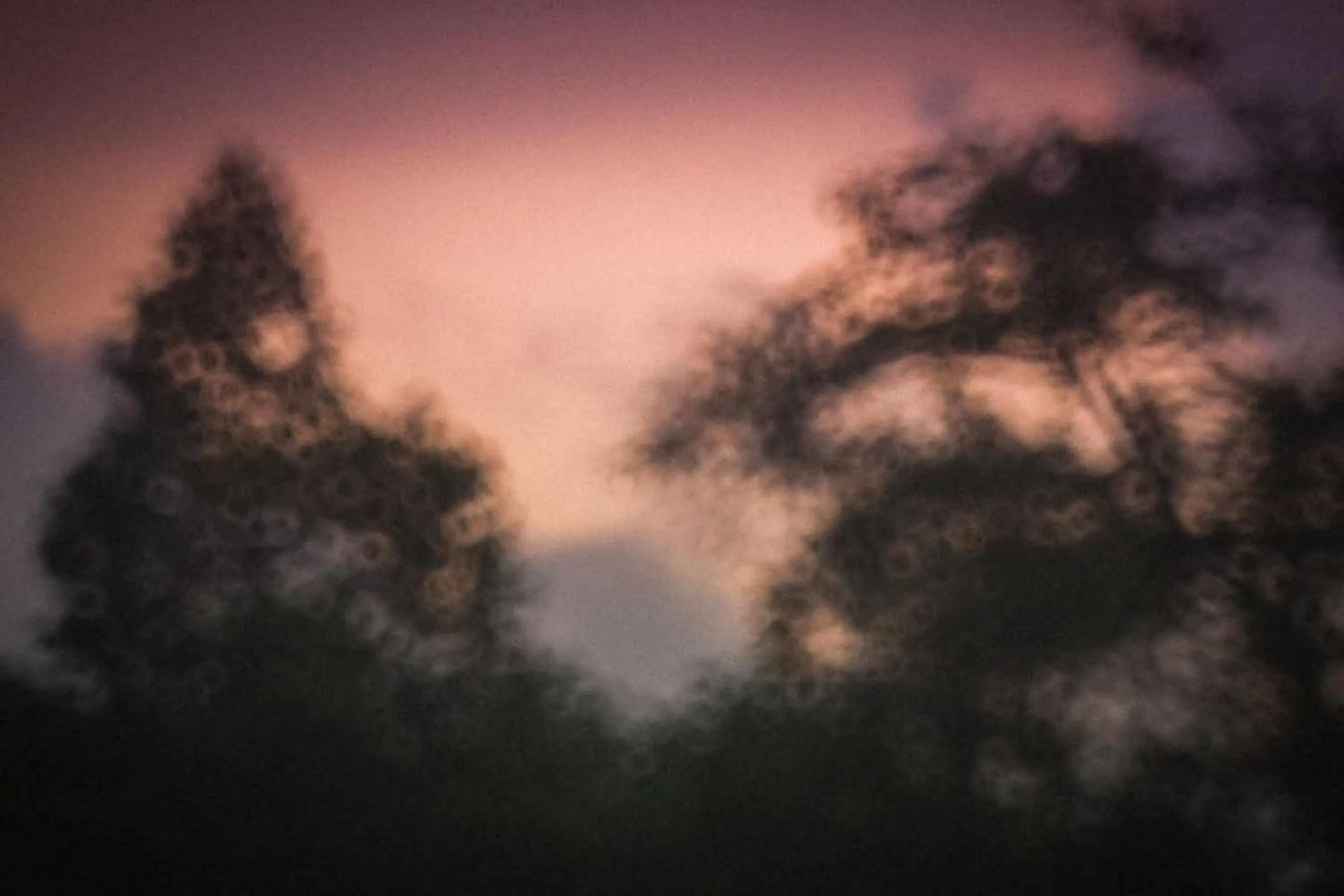 Natural landscape in Moonlight Cottage