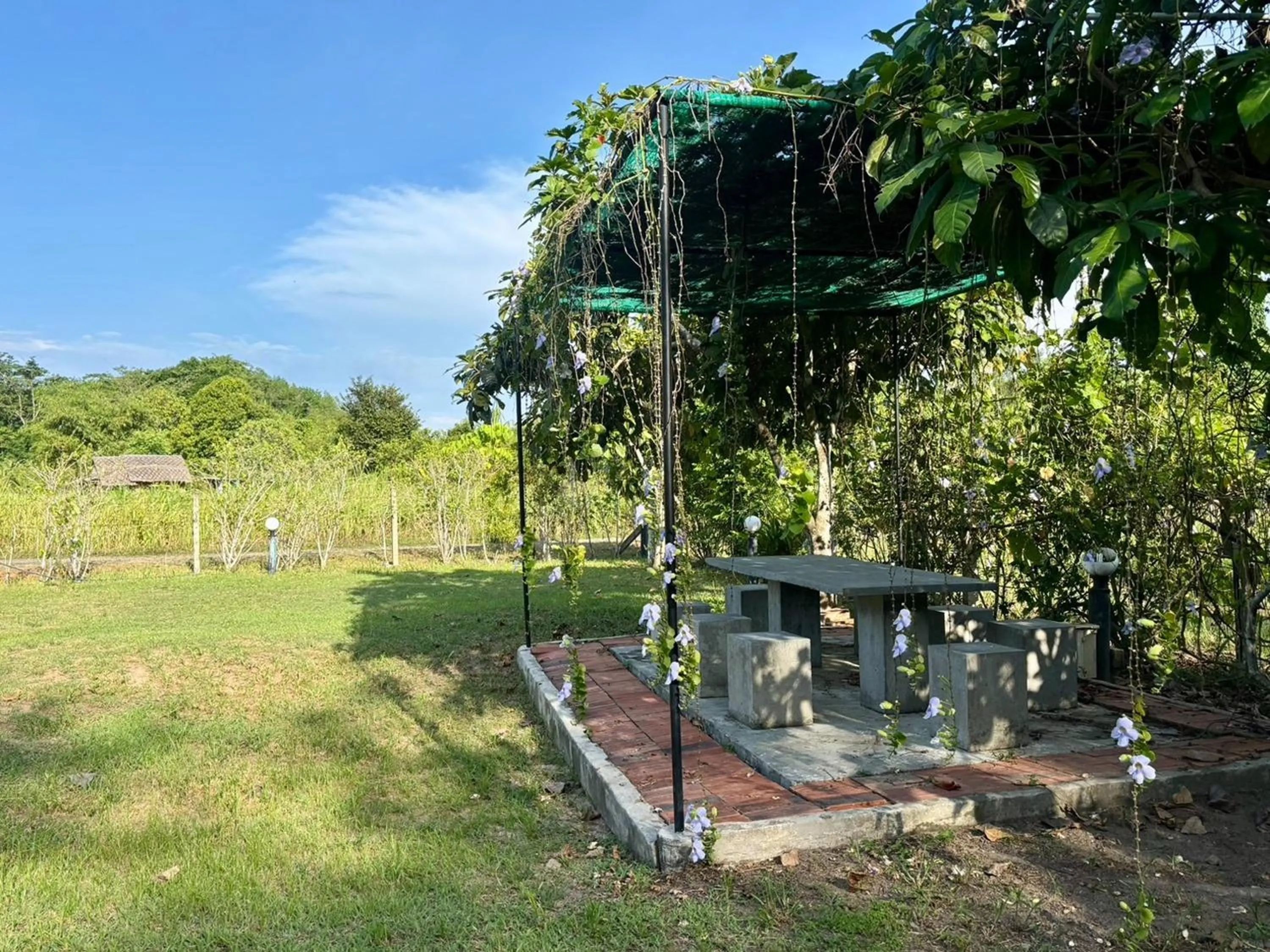 Day in Moonlight Cottage