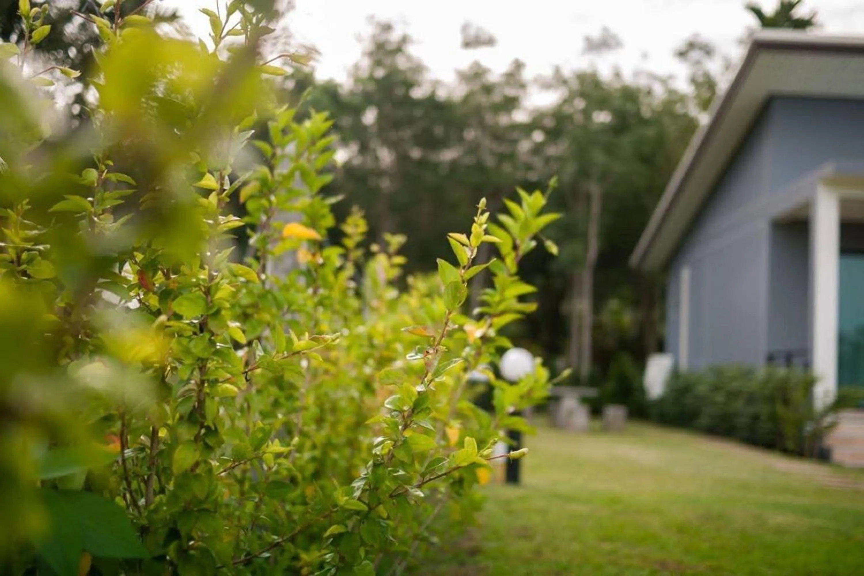 Property building in Moonlight Cottage
