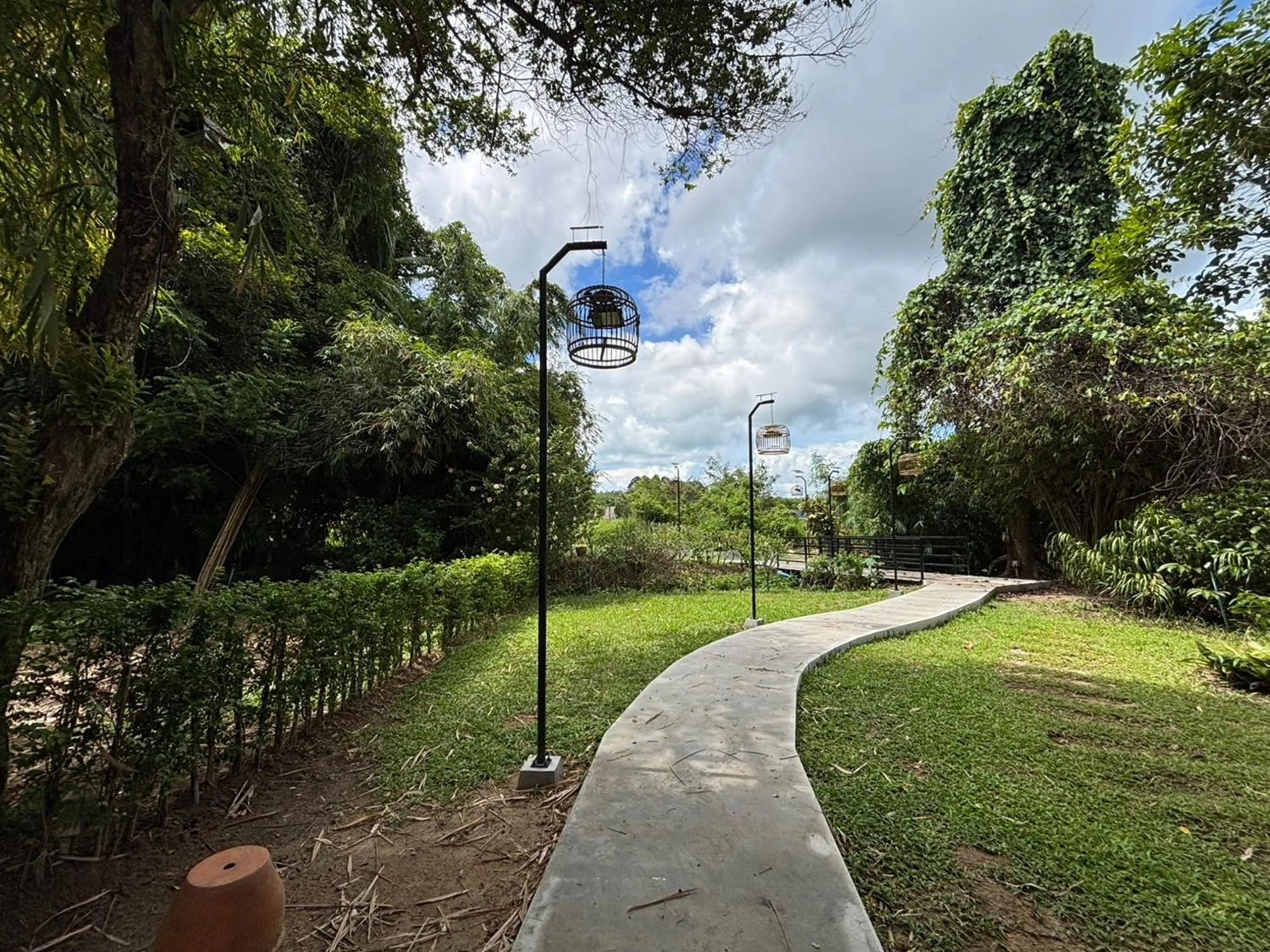 Garden in Moonlight Cottage