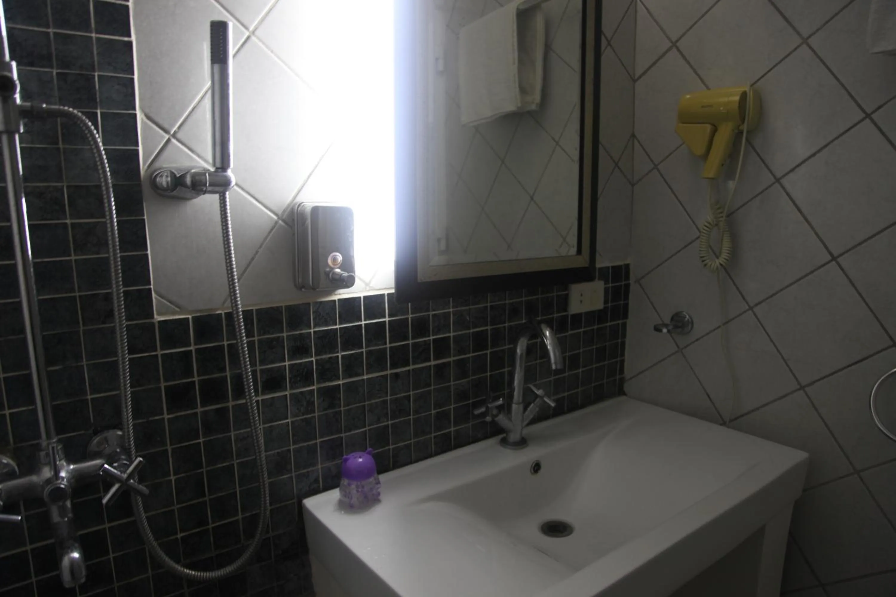 Shower in Green Monkey Resort Boracay