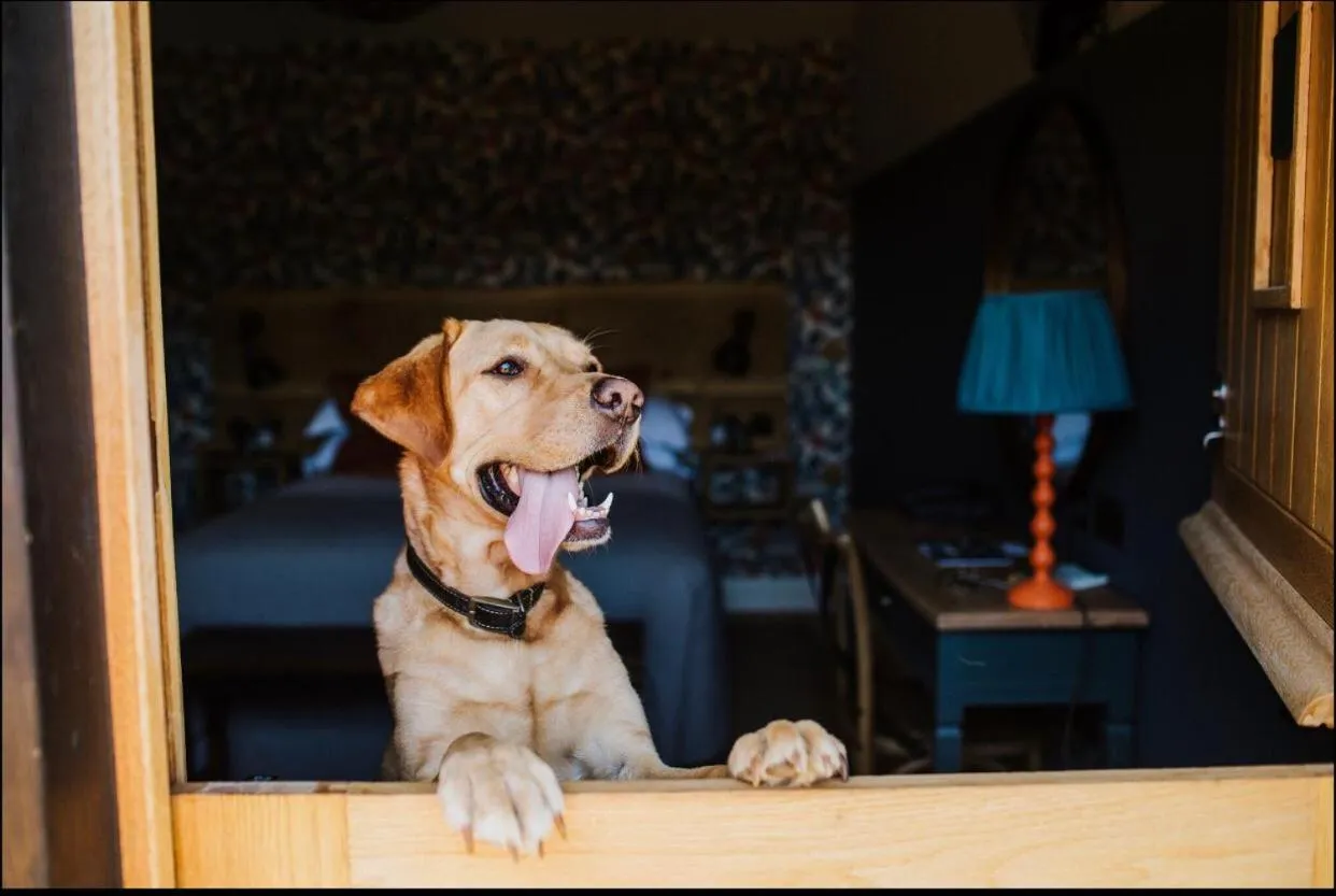 Pets in The Farmhouse at Redcoats