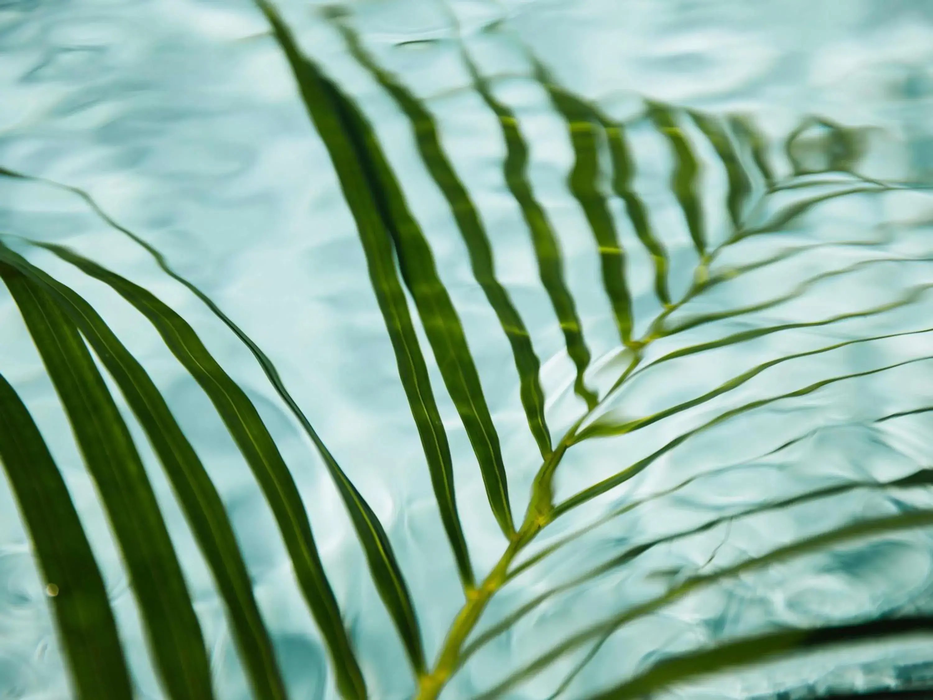 Pool view in Fairmont Breakers Long Beach Pool view in Fairmont Breakers Long Beach
