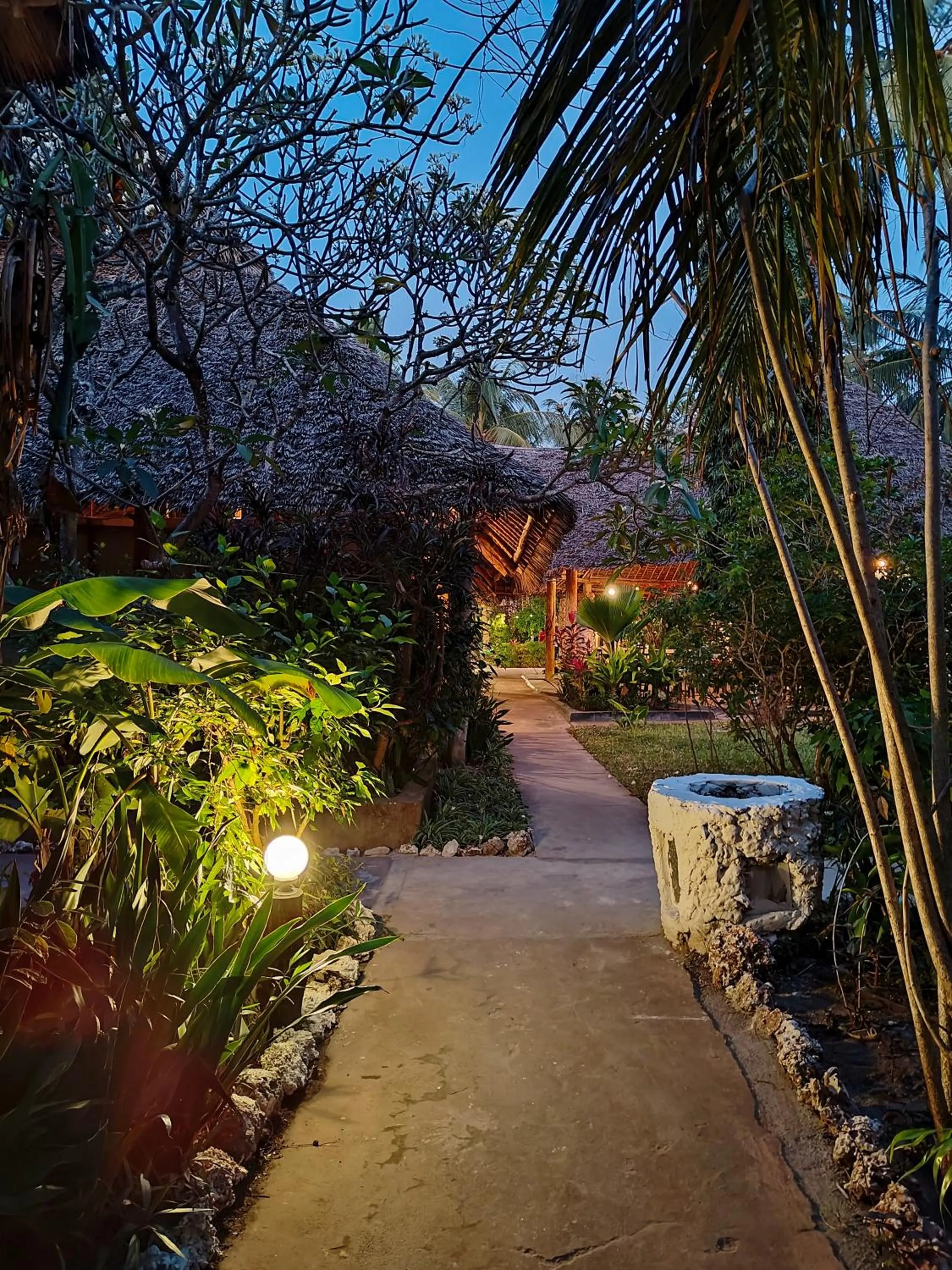 Garden in Paje By Night Bungalows
