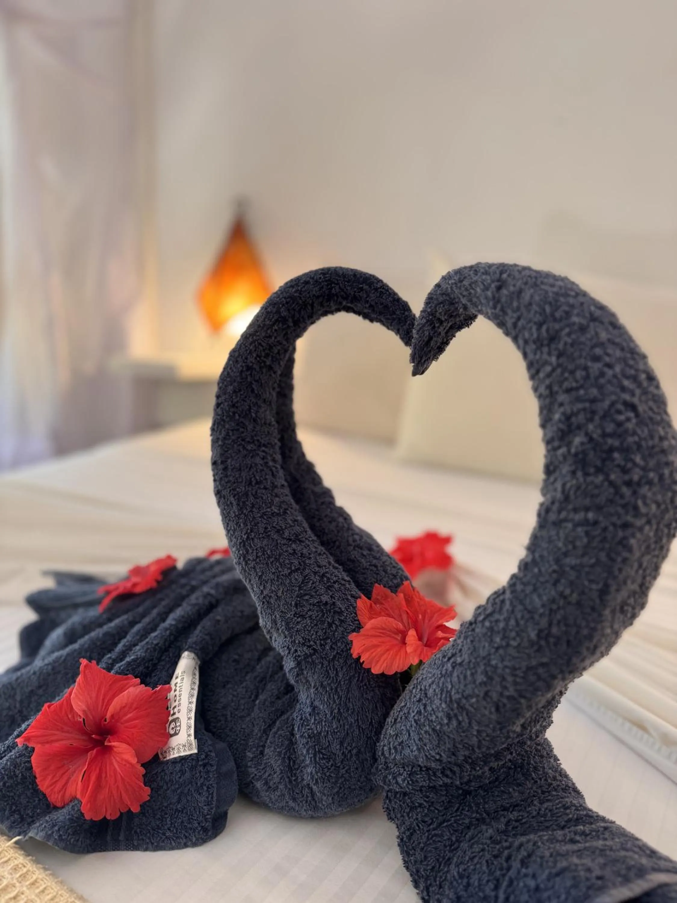 towels, Bed in Paje By Night Bungalows