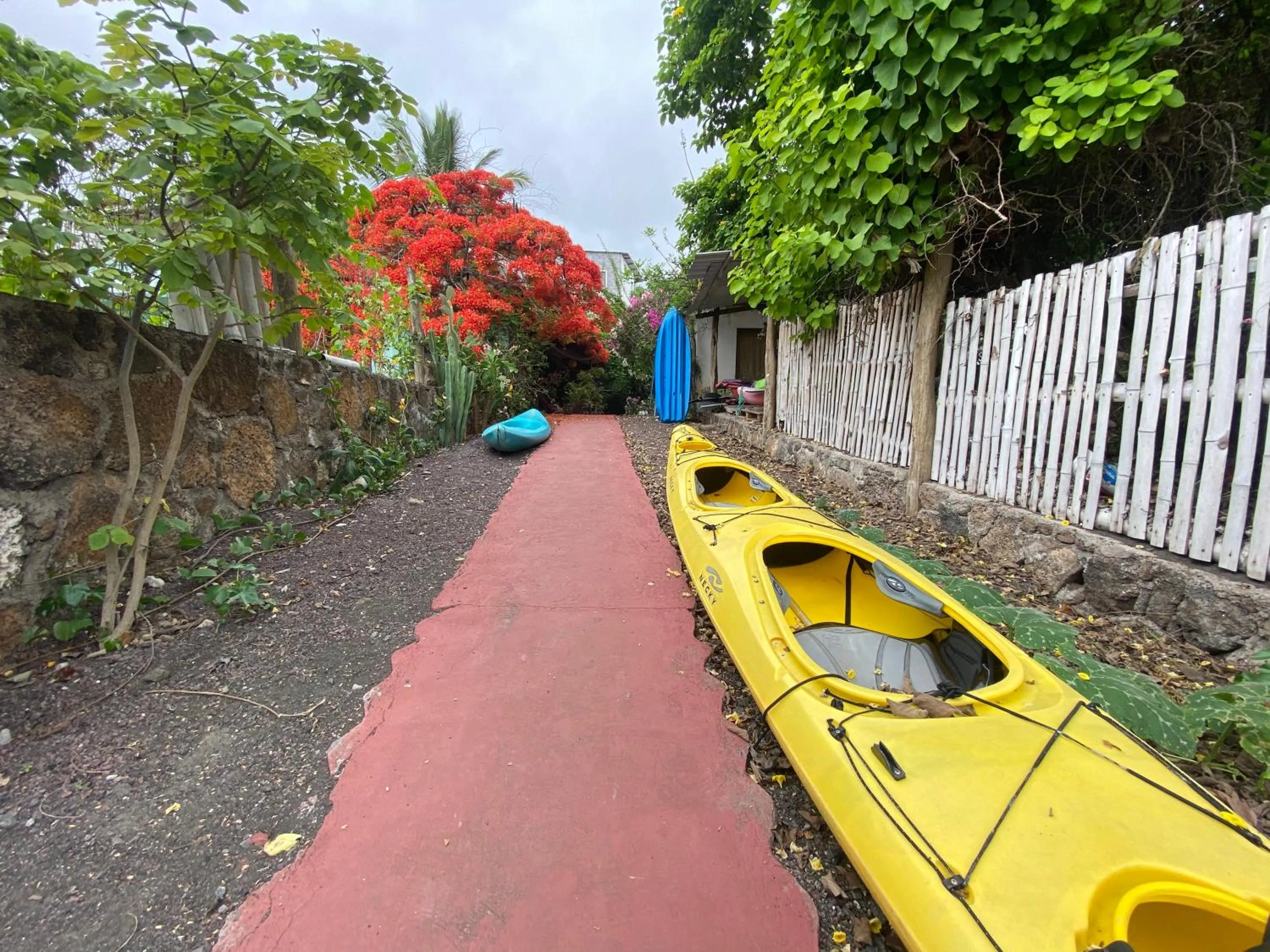 Garden in Hostal Vista al Mar