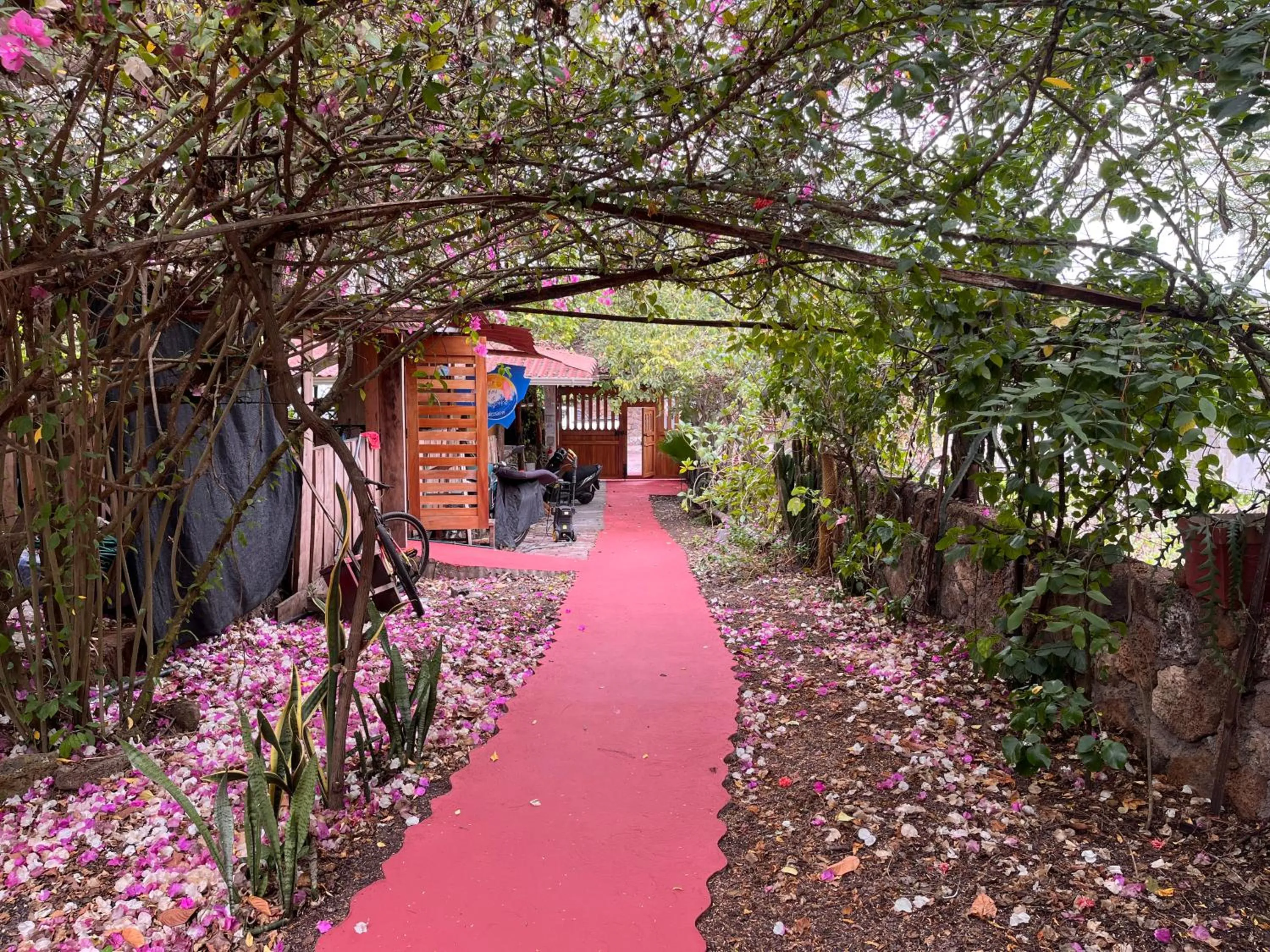 Garden in Hostal Vista al Mar