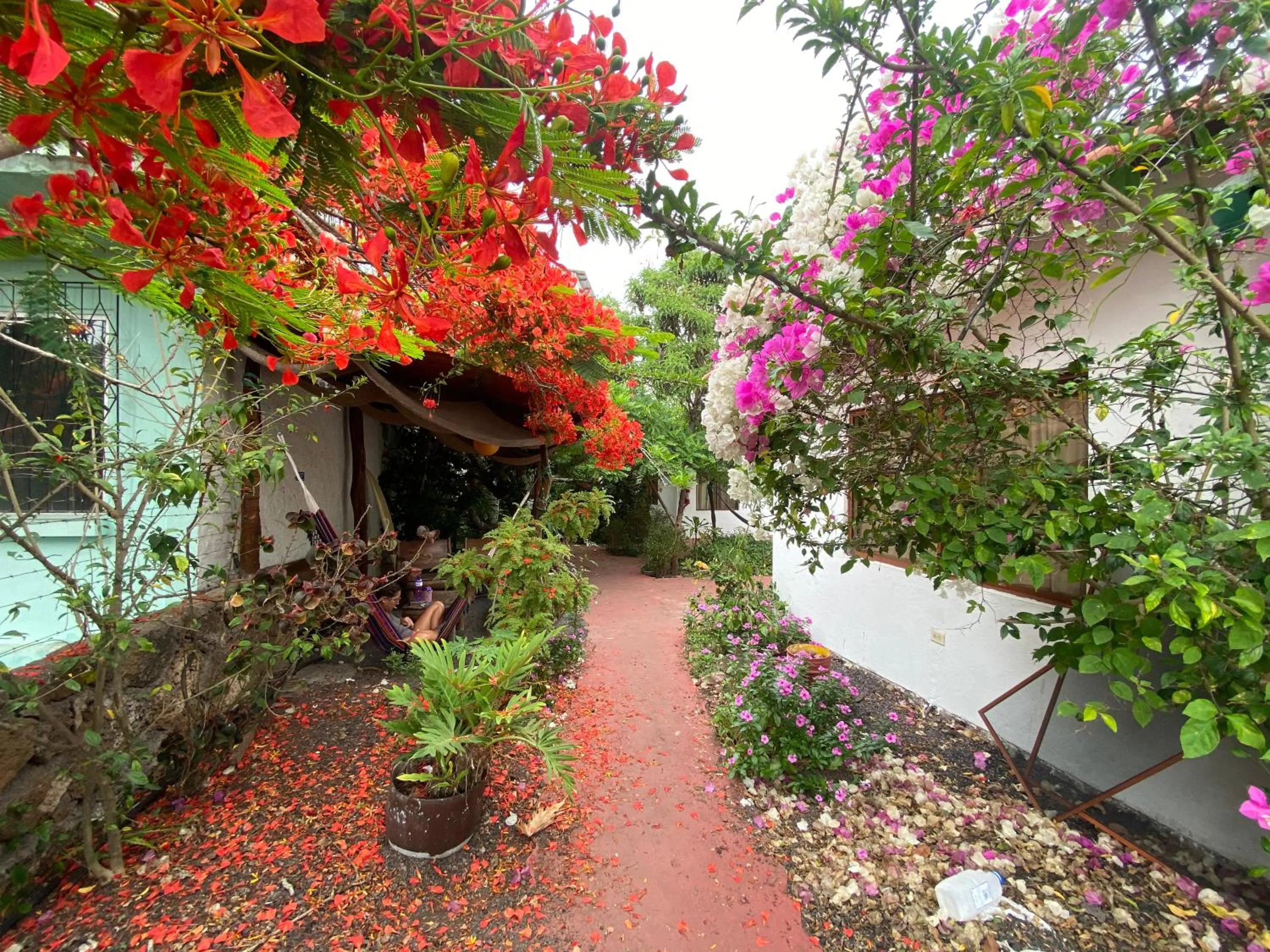 Patio in Hostal Vista al Mar