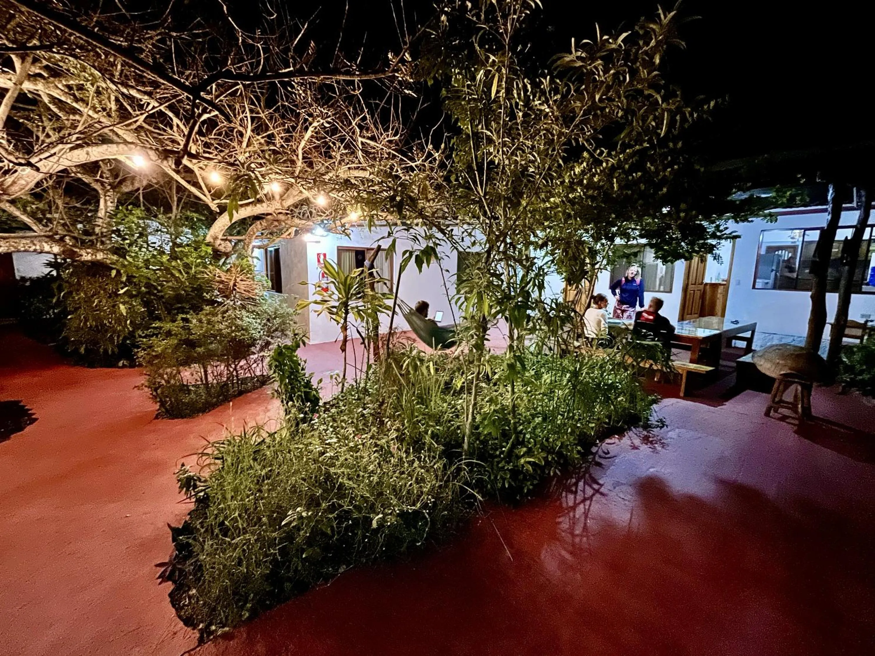 Garden in Hostal Vista al Mar