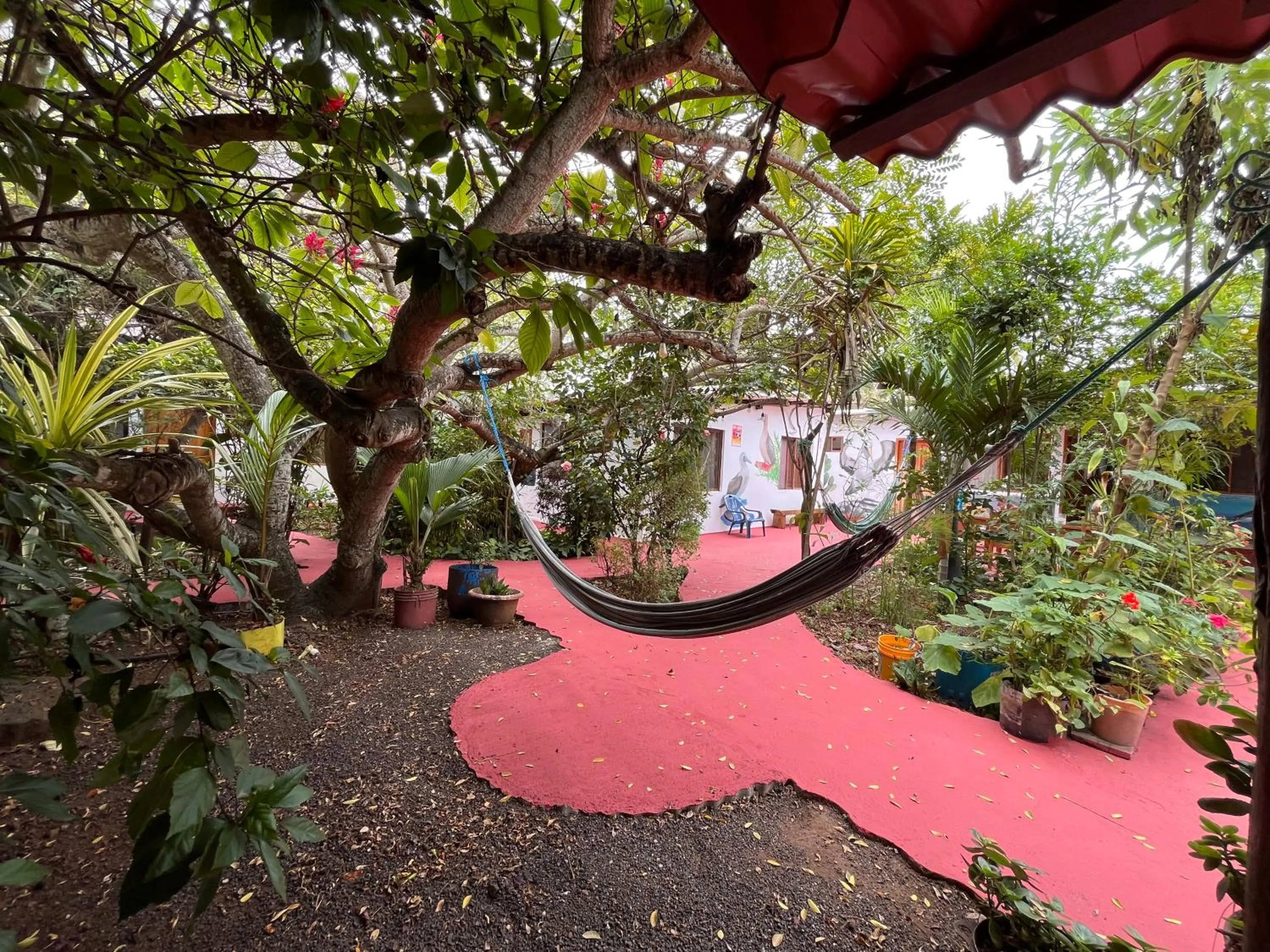 Garden in Hostal Vista al Mar