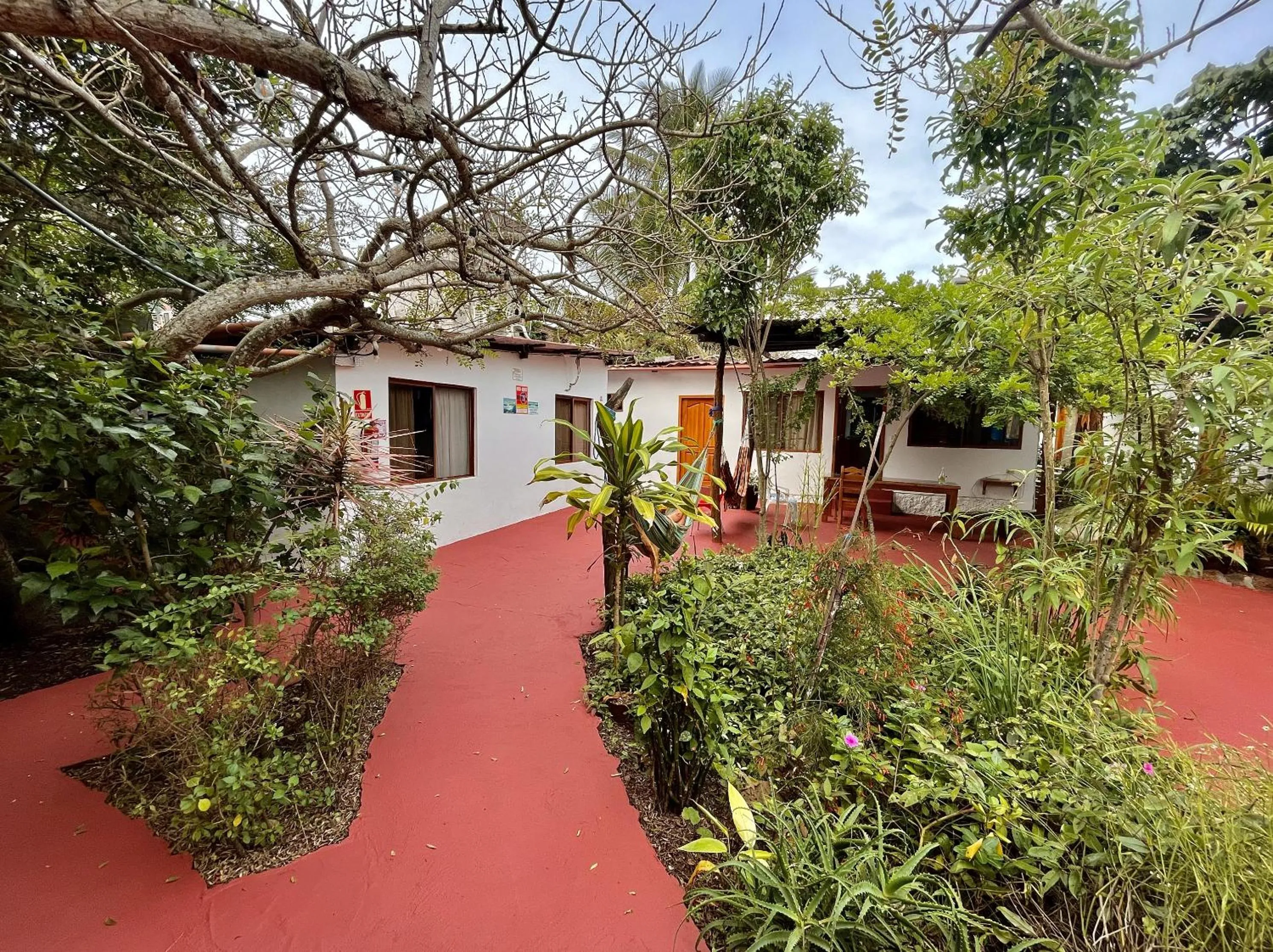 Garden in Hostal Vista al Mar