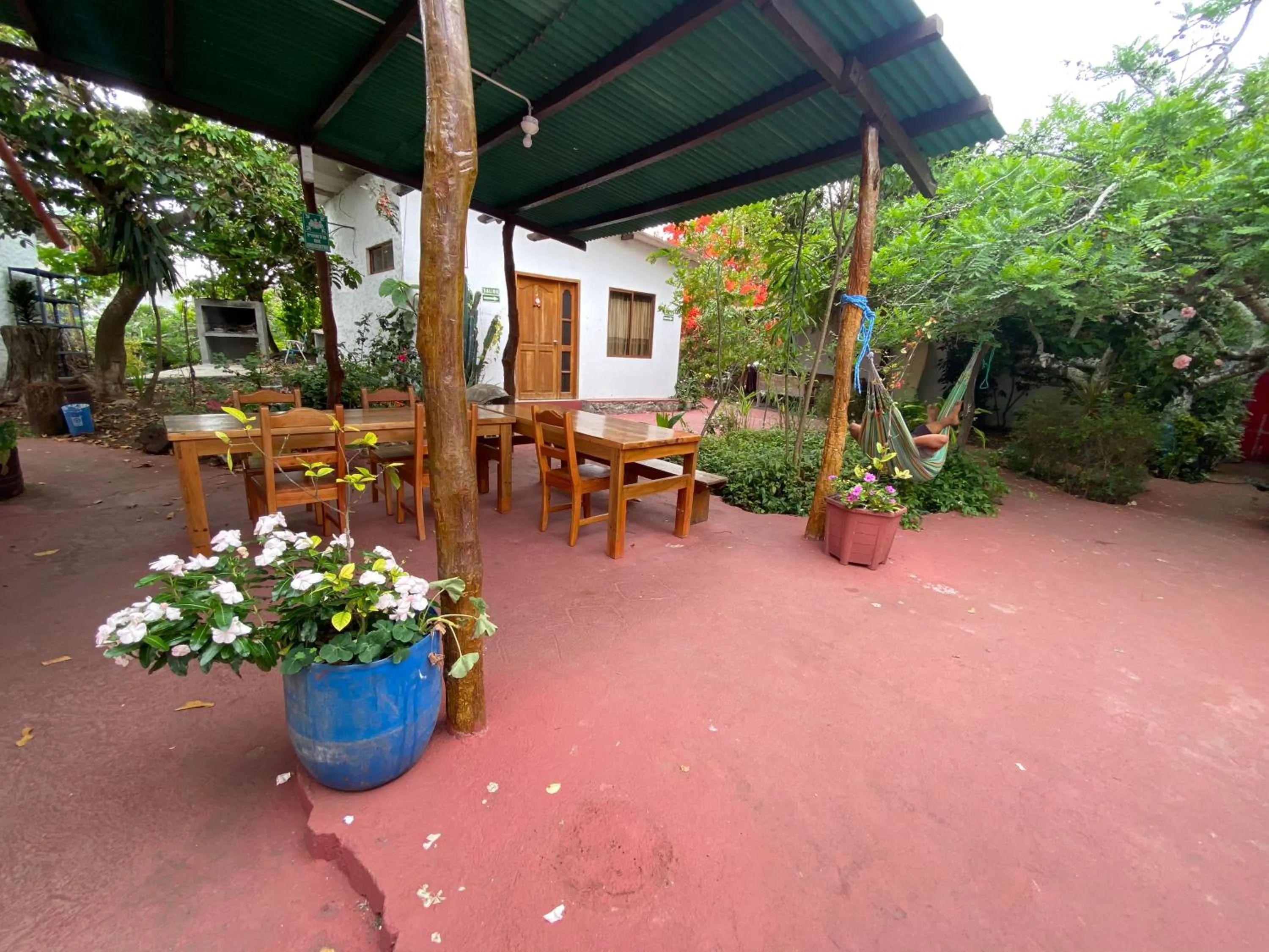 Patio in Hostal Vista al Mar