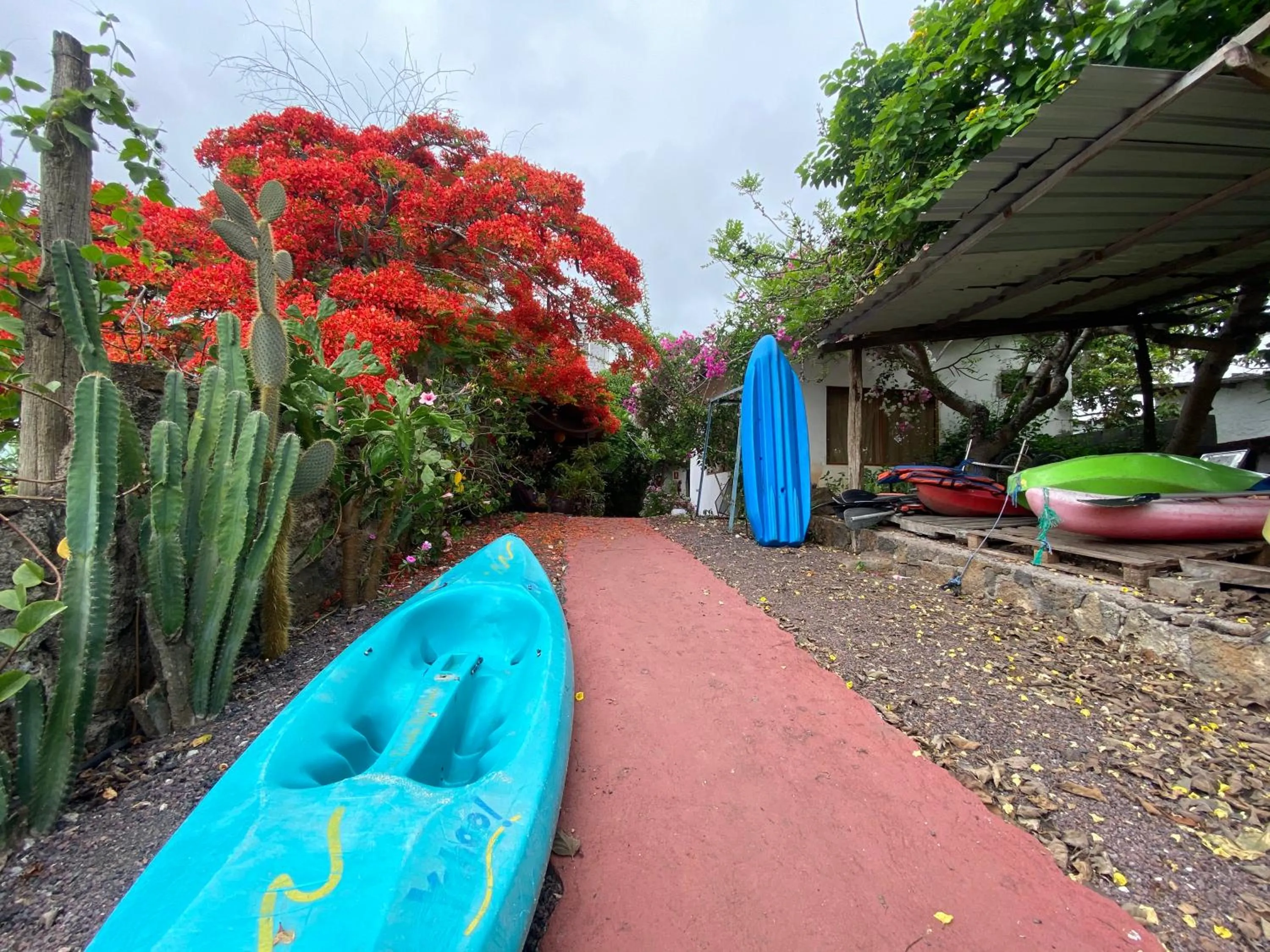 Garden in Hostal Vista al Mar
