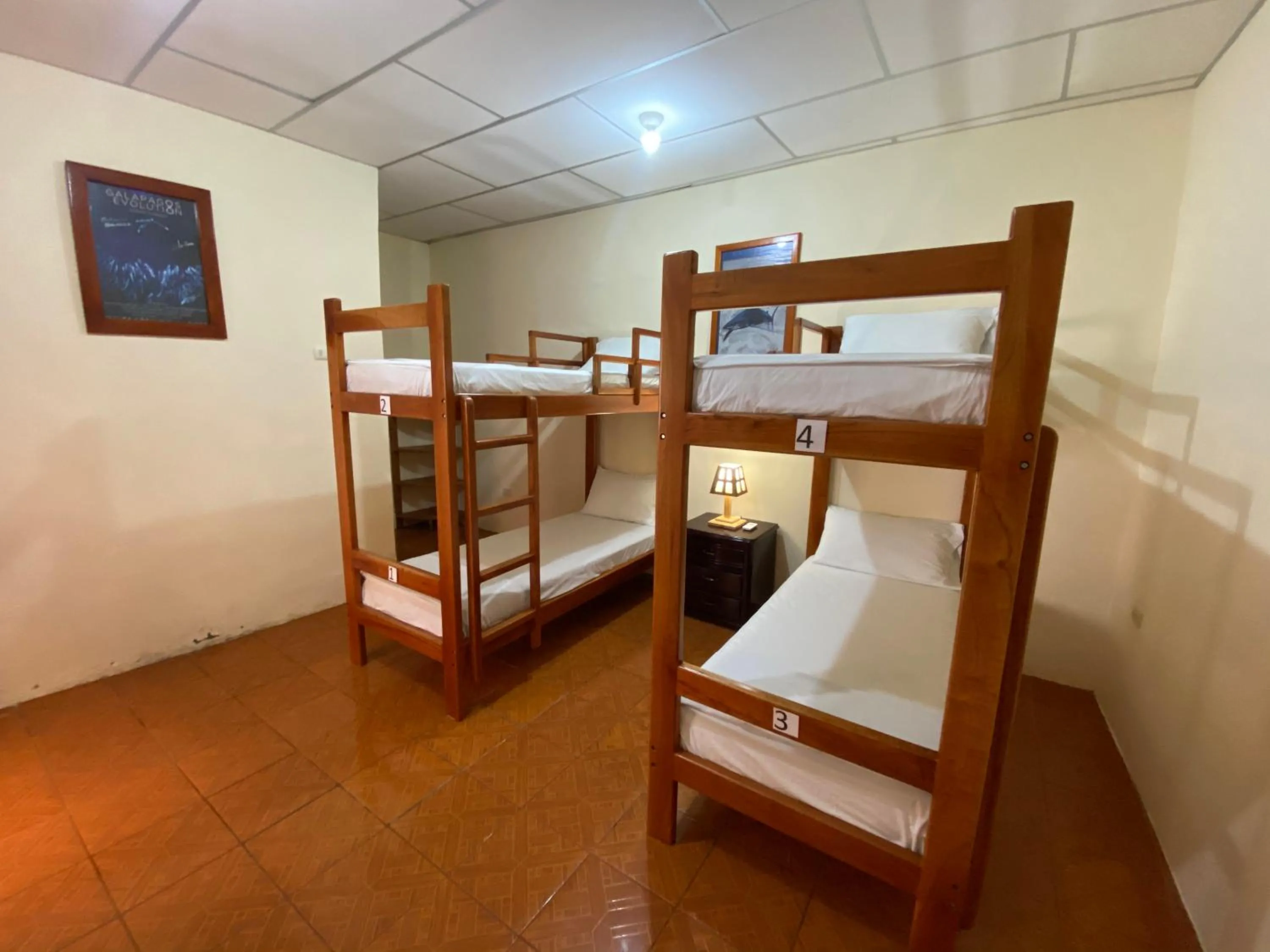 bunk bed, Bed in Hostal Vista al Mar