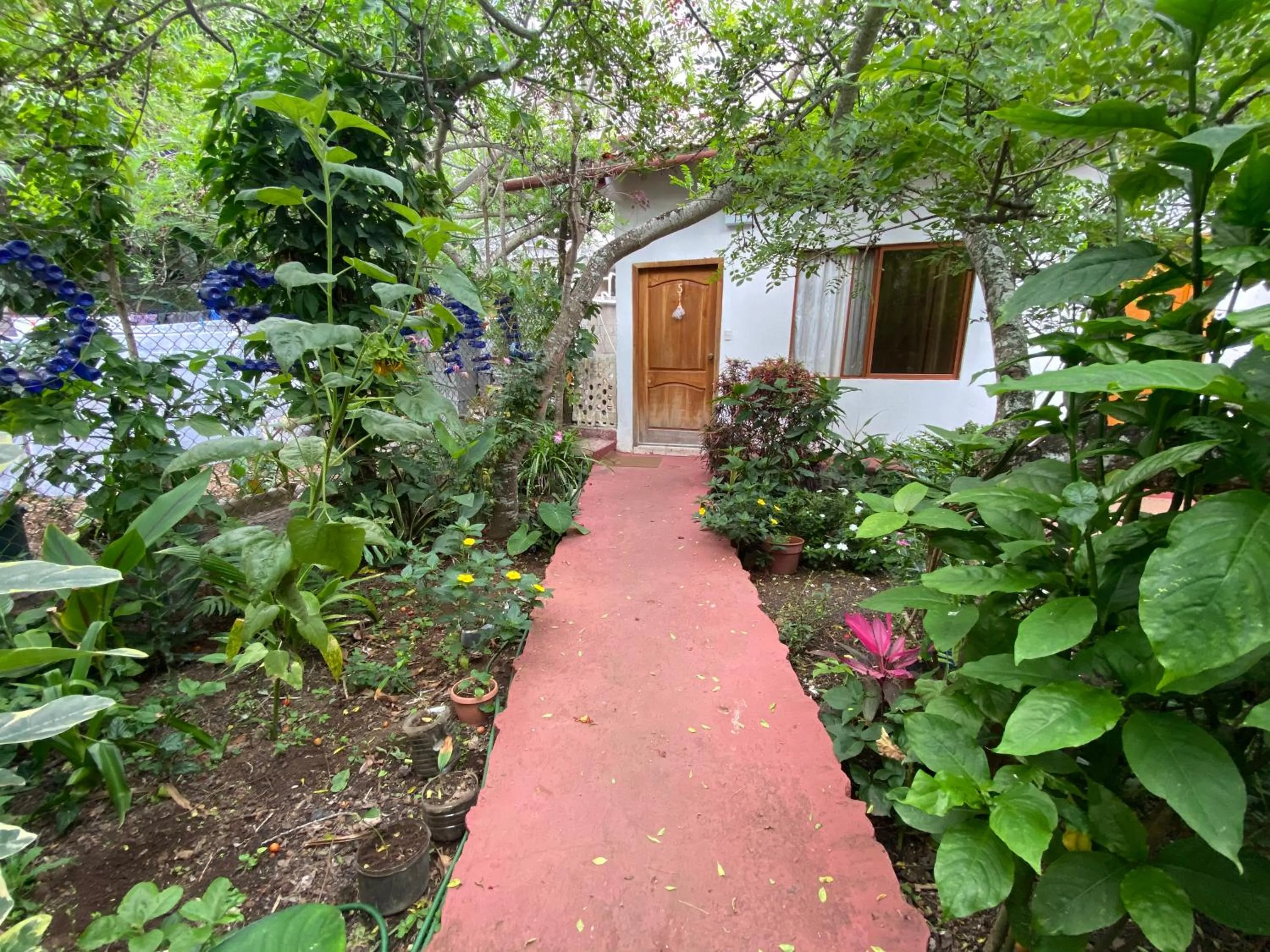 Garden in Hostal Vista al Mar