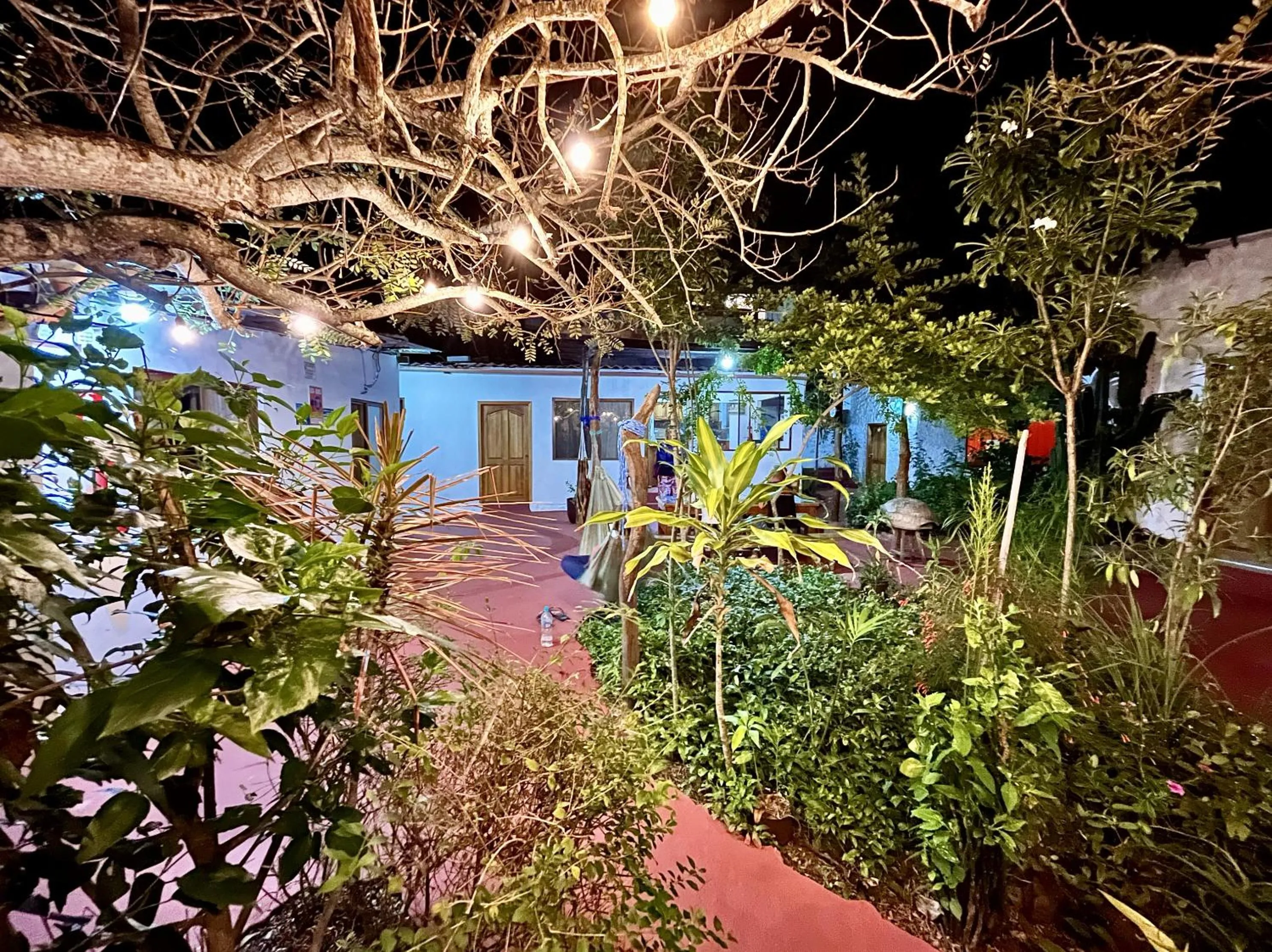 Garden in Hostal Vista al Mar