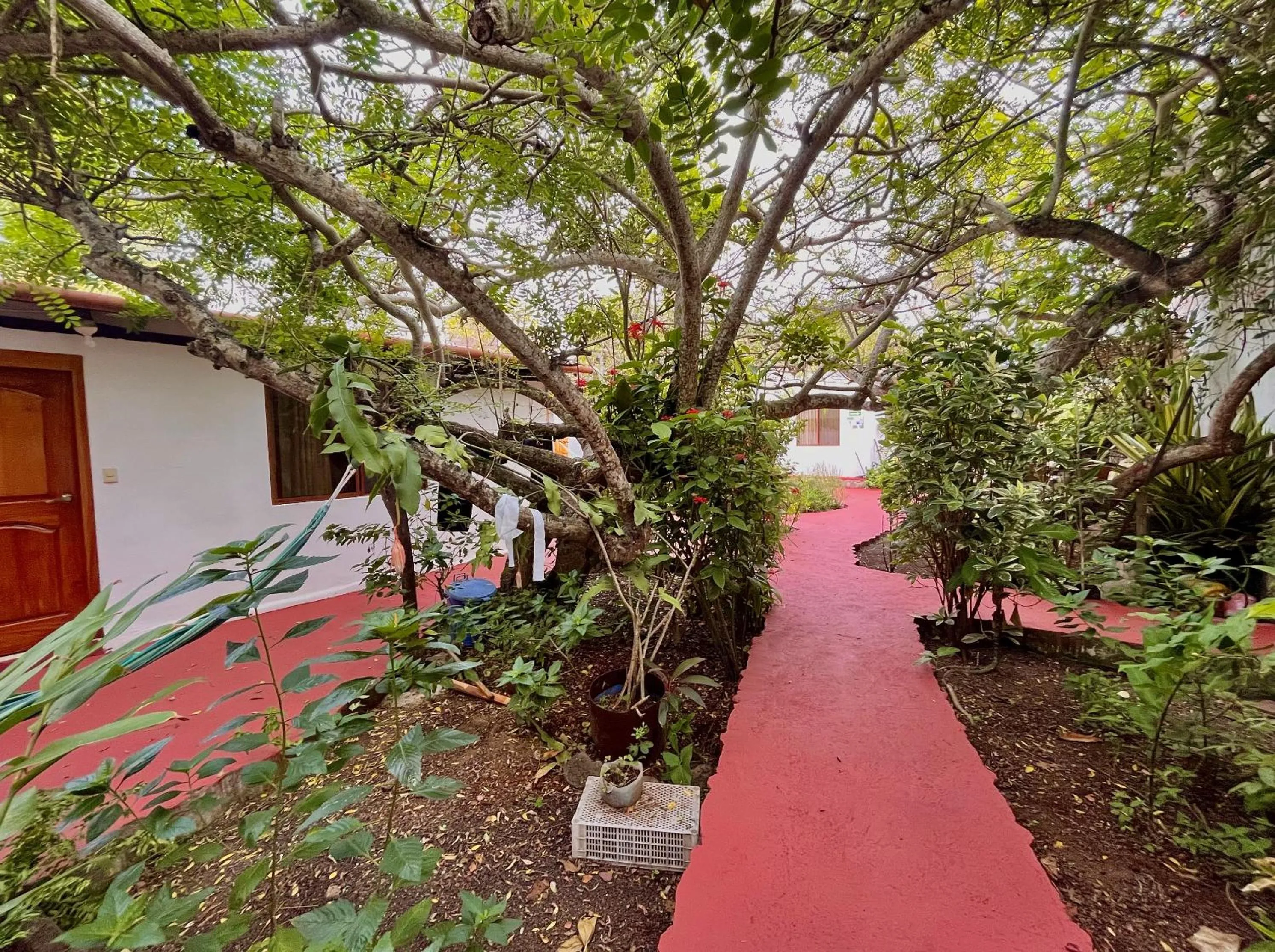 Garden in Hostal Vista al Mar