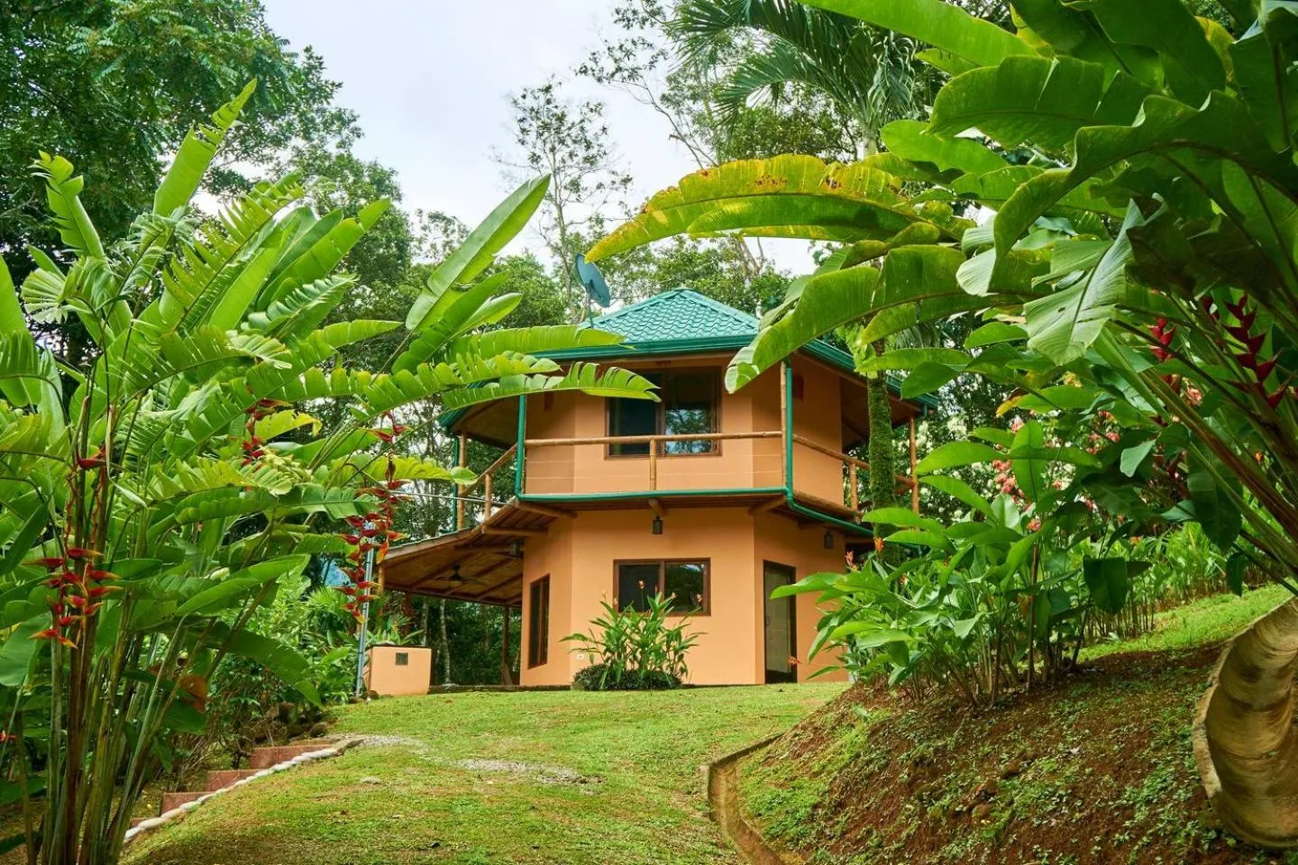 Manoas