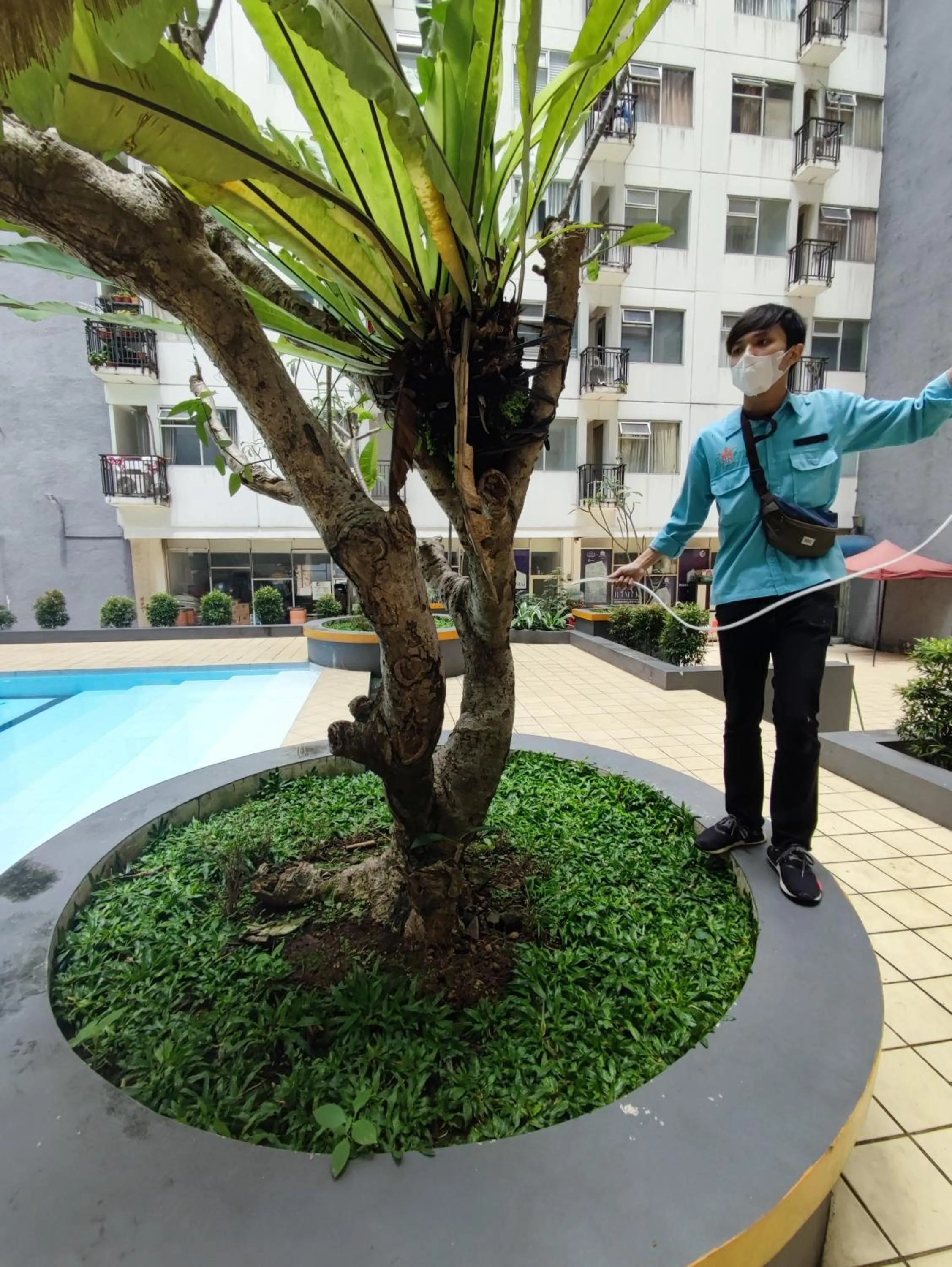 Day in The Jarrdin Apartment Hotels by Ironman