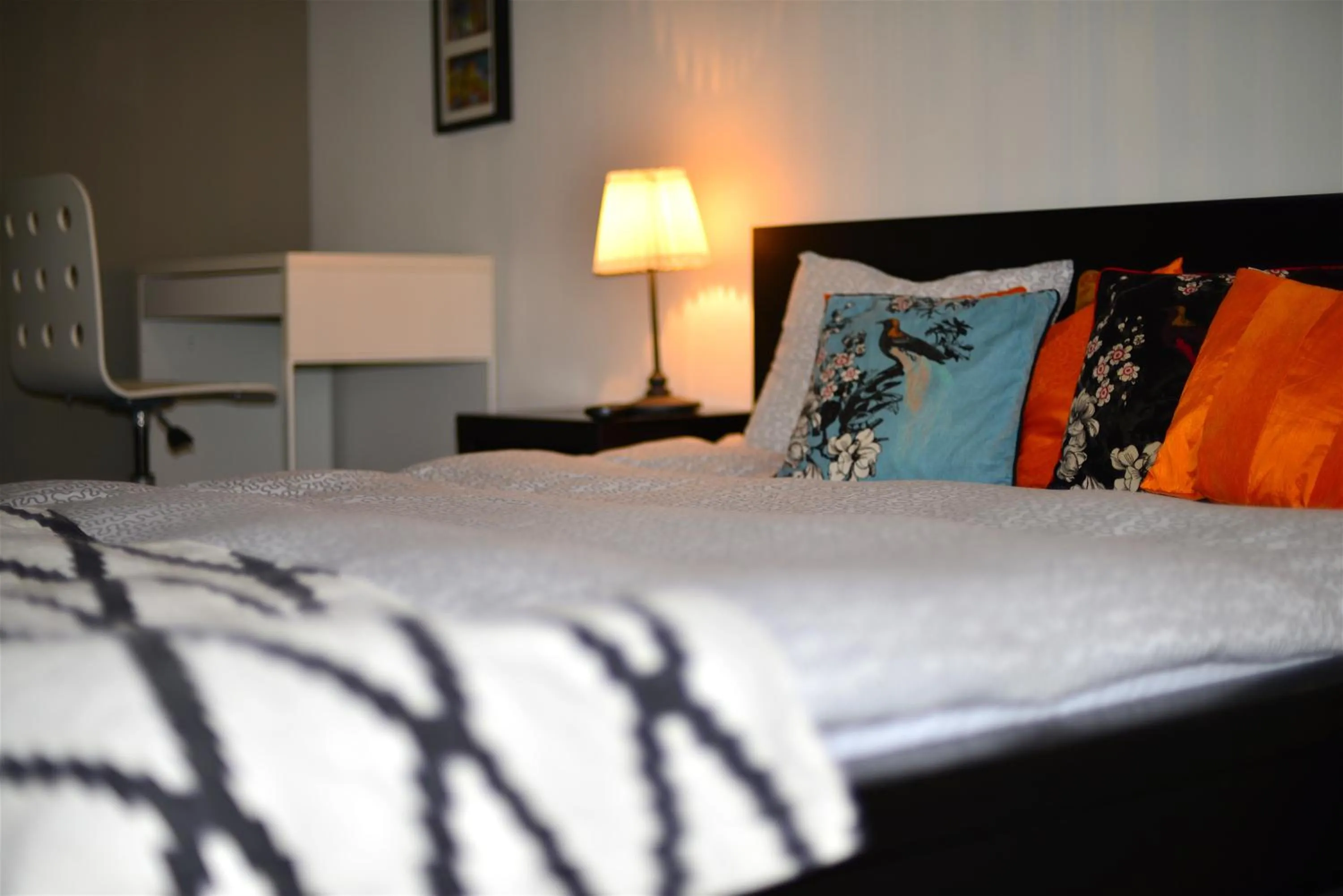 bunk bed, Bed in Hotel Biscuit