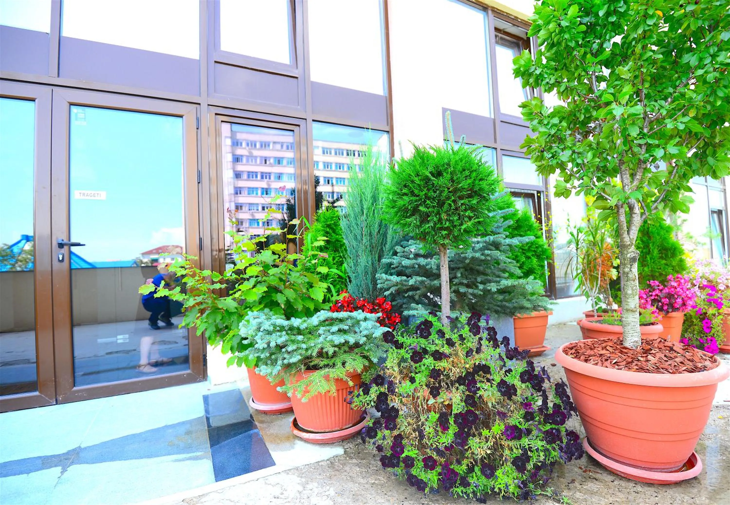 Balcony/Terrace in Hotel Biscuit