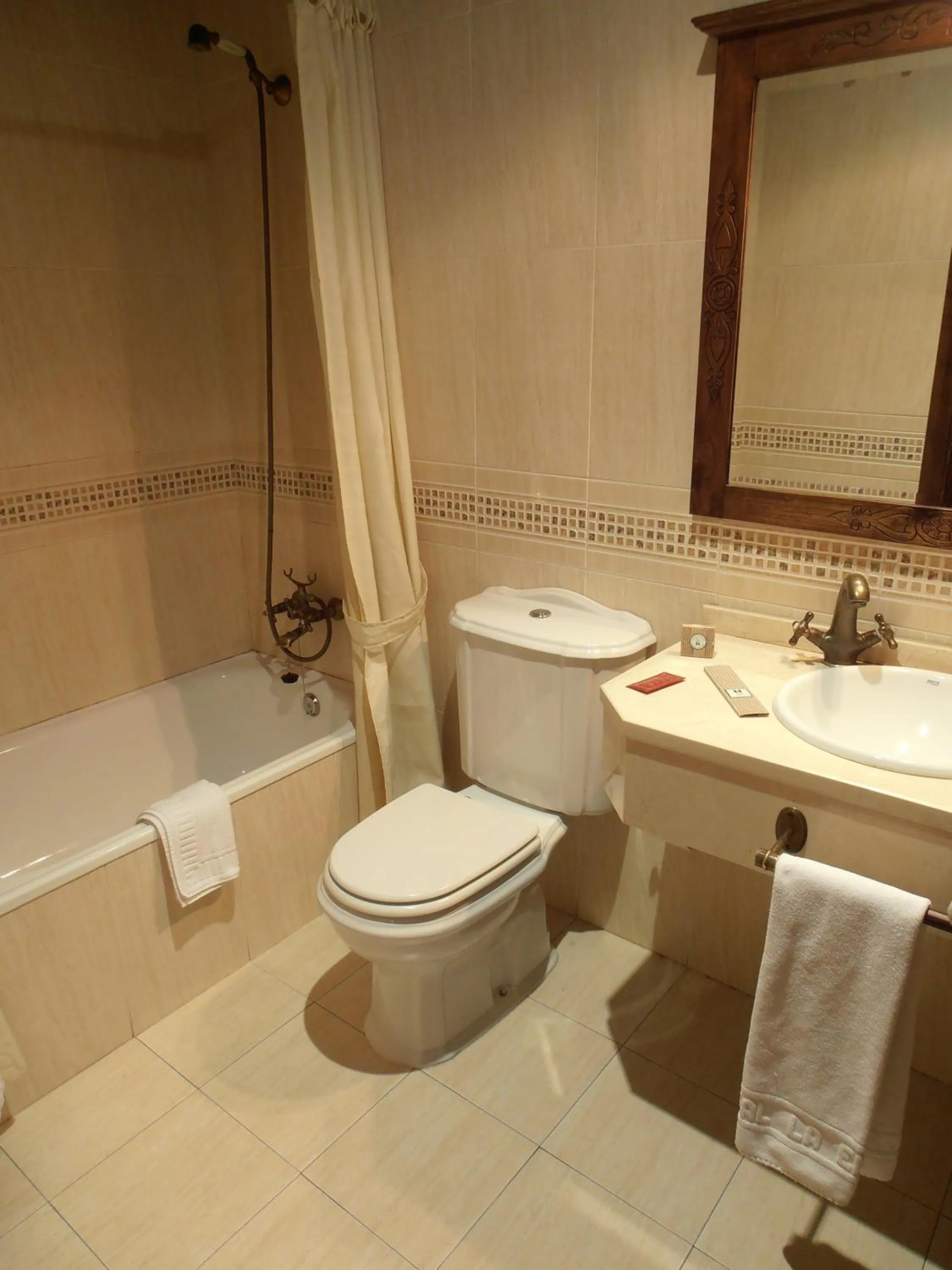 Toilet in Hostal Virgen de la Encina