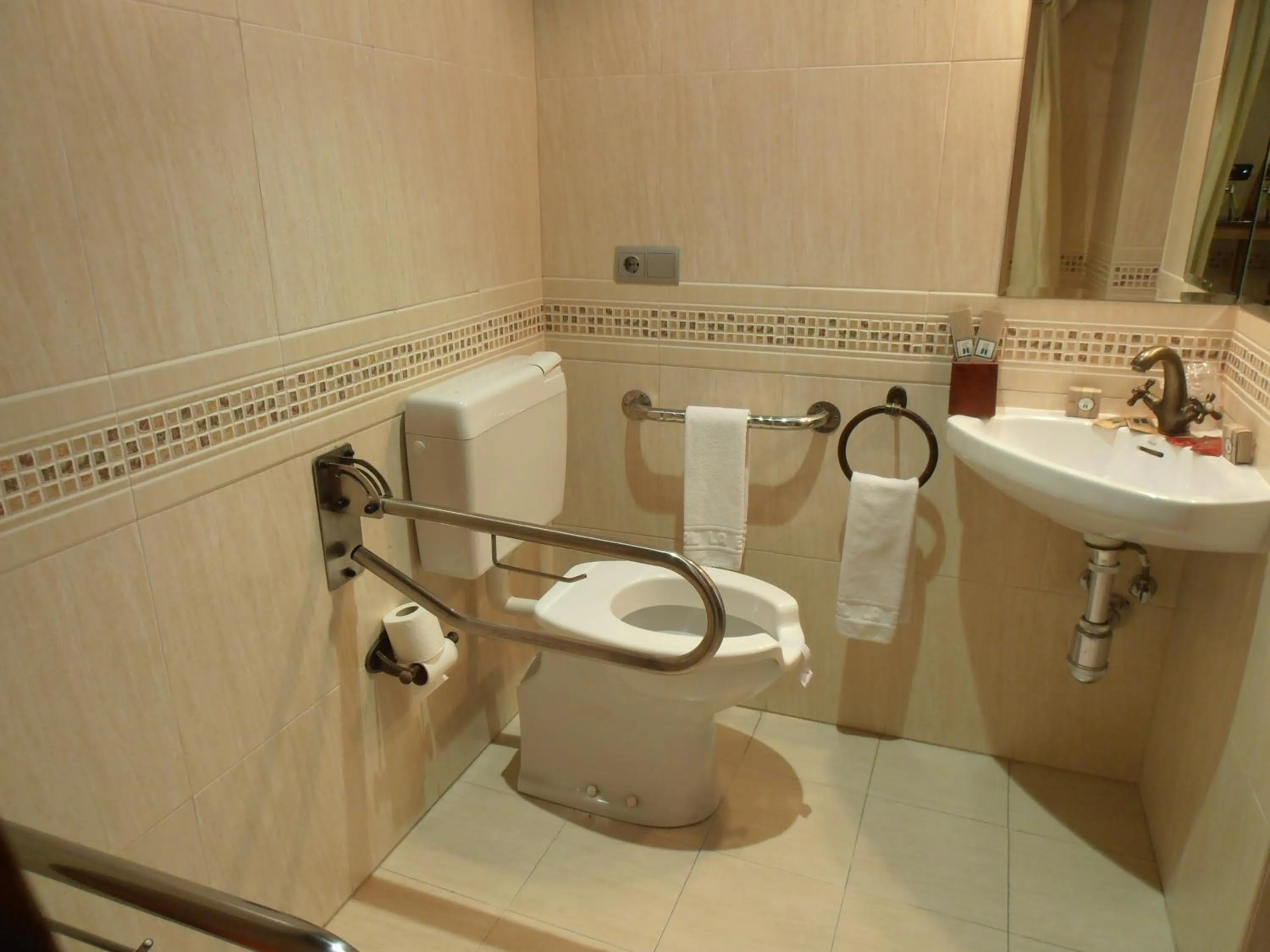 Toilet in Hostal Virgen de la Encina