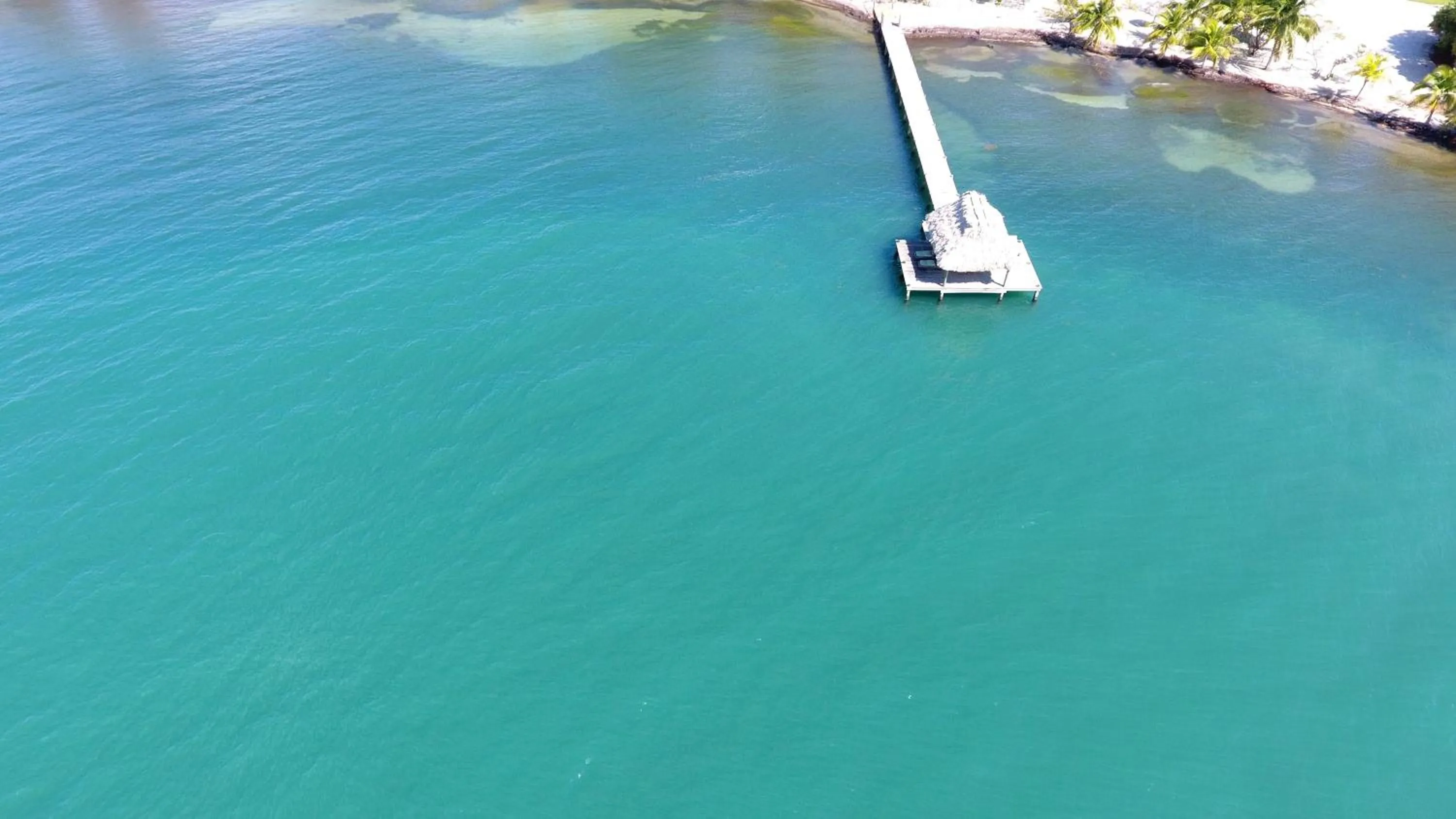 Property building in Marazul Belize