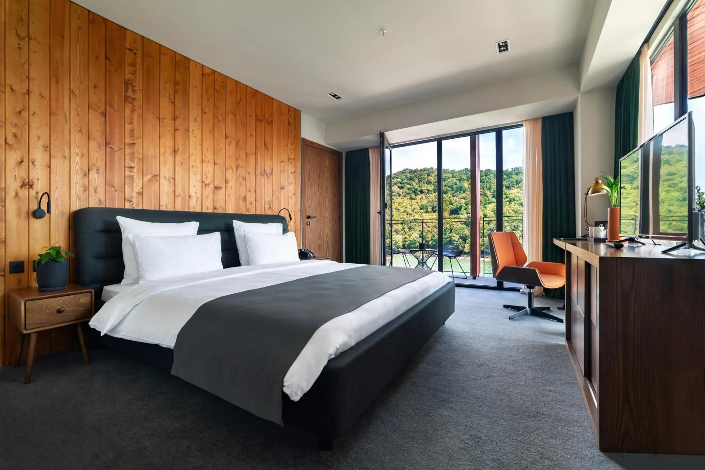 Standard King Room with Lake View (Building B) - single occupancy in Kvareli Lake Resort Standard King Room with Lake View (Building B) - single occupancy in Kvareli Lake Resort