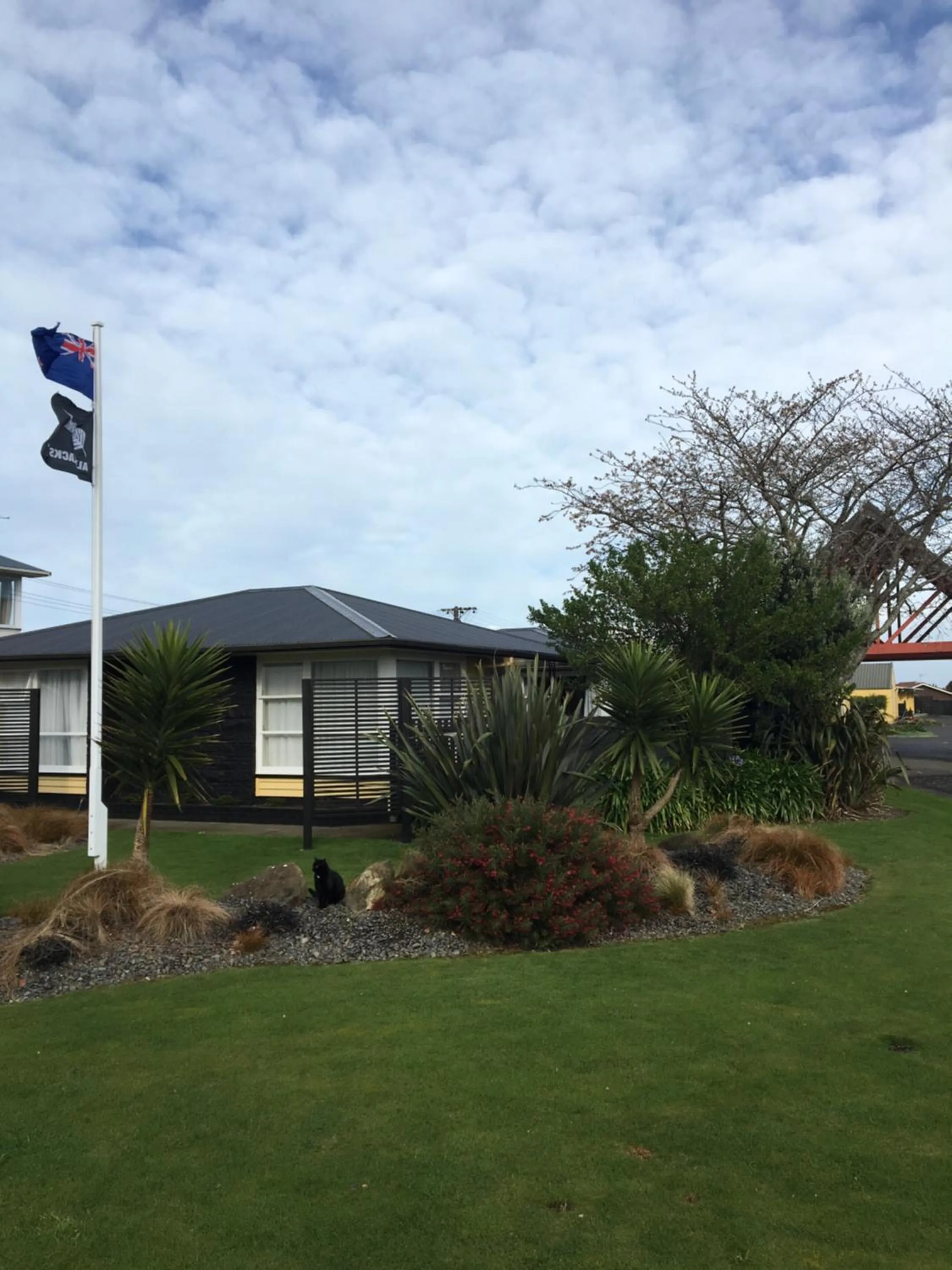 Street view in Mount View Motel Hawera