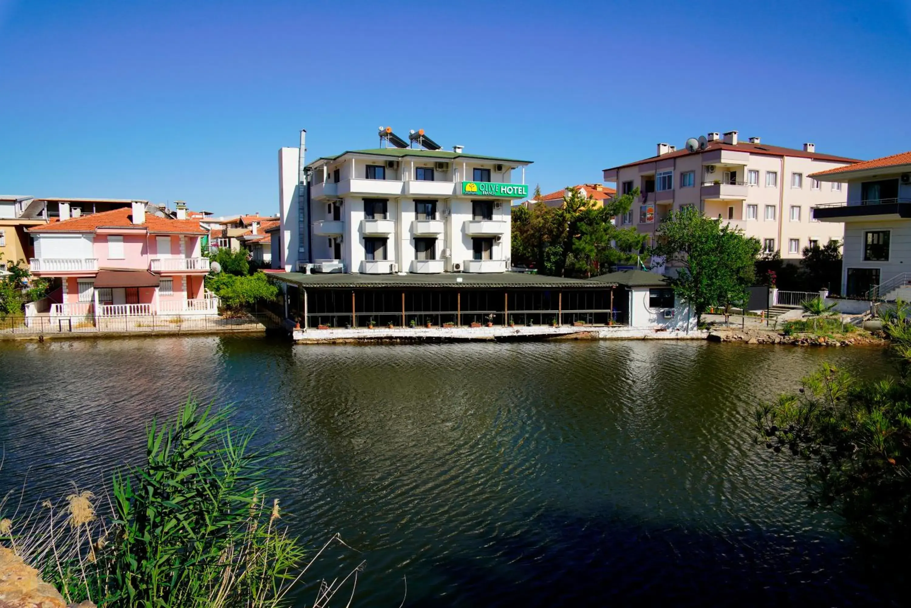 Olive Branch Hotel Olive Branch Hotel