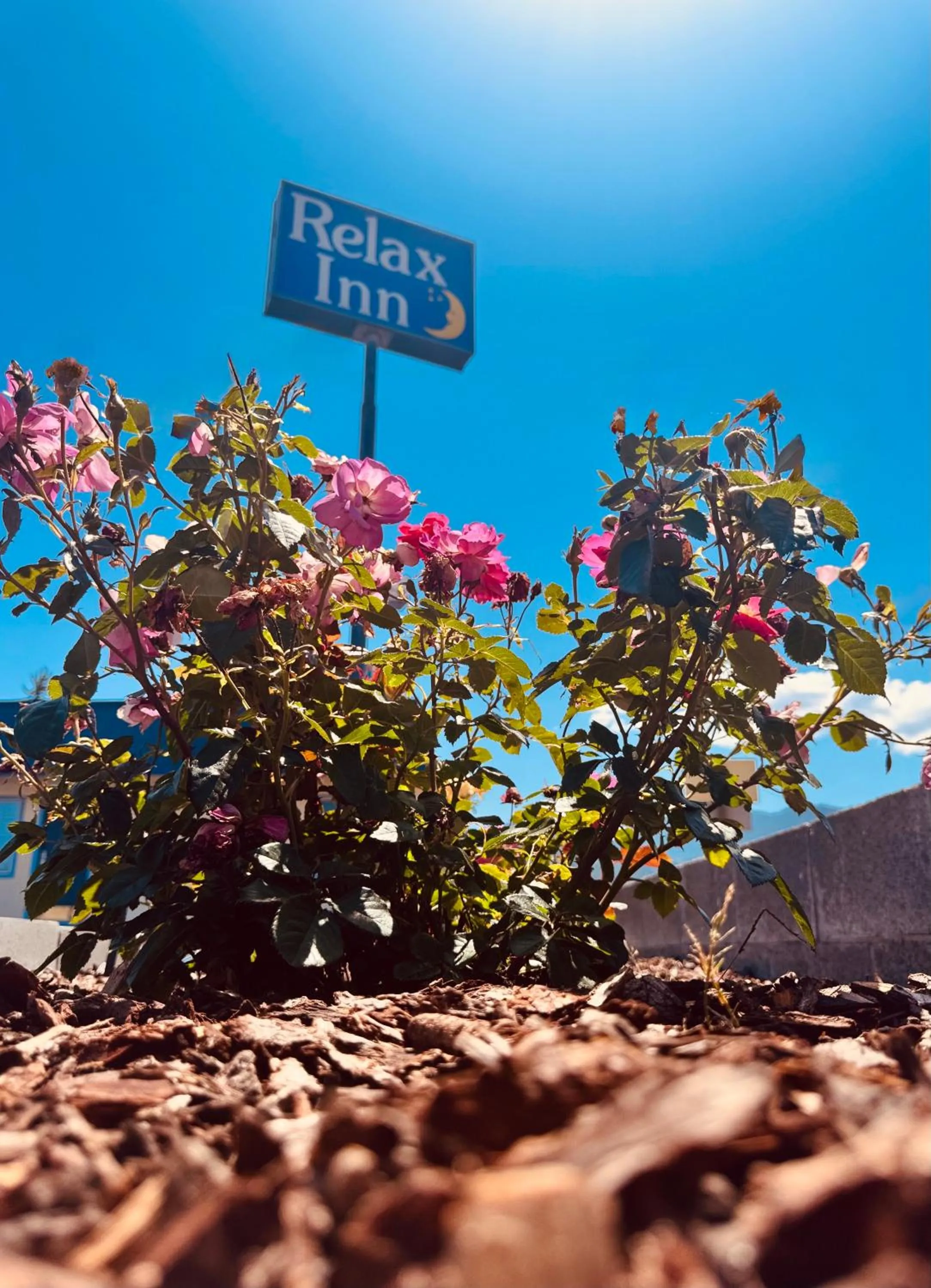 Spring in Relax Inn At Ashland