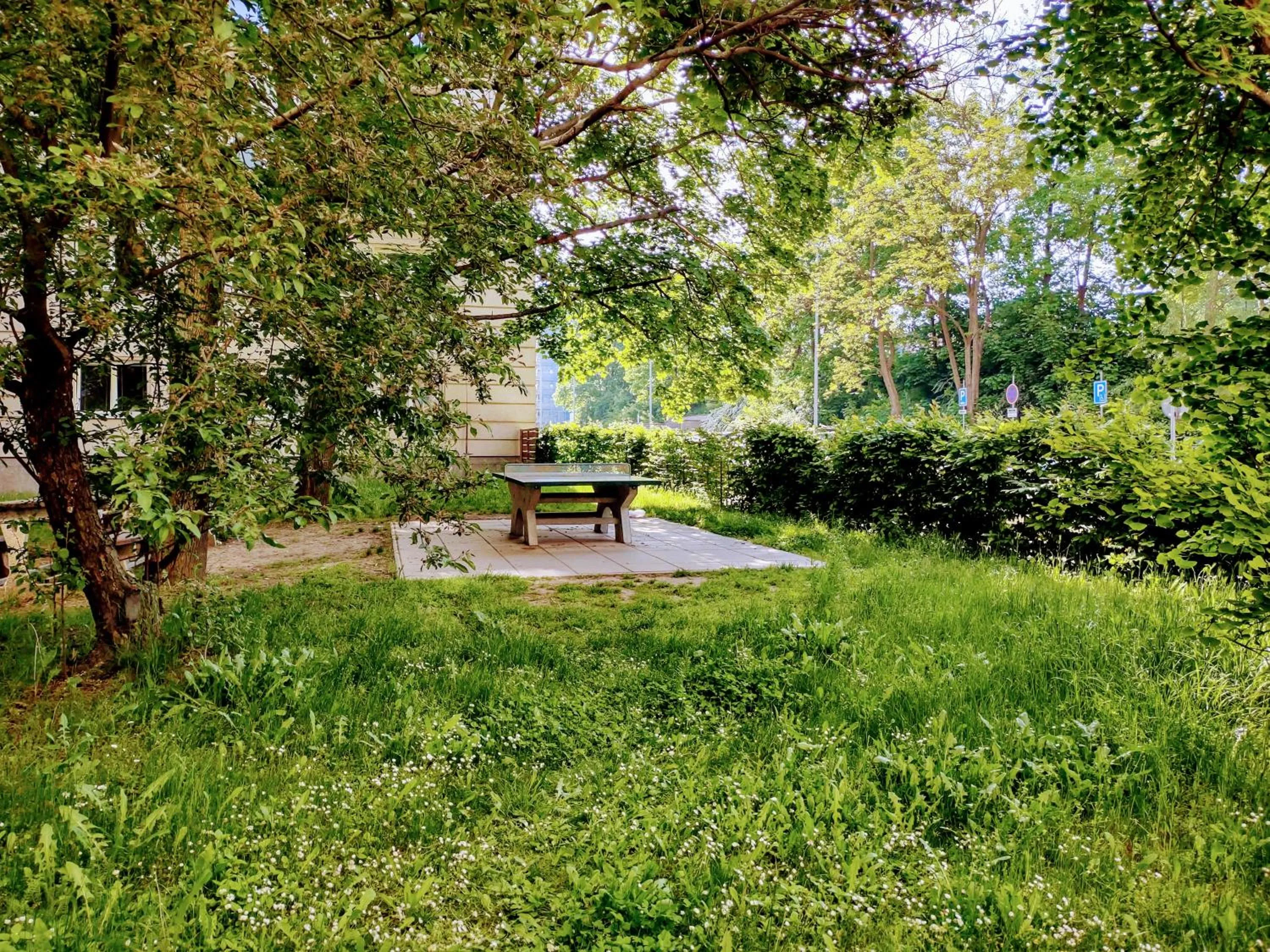 Garden in University Hotel