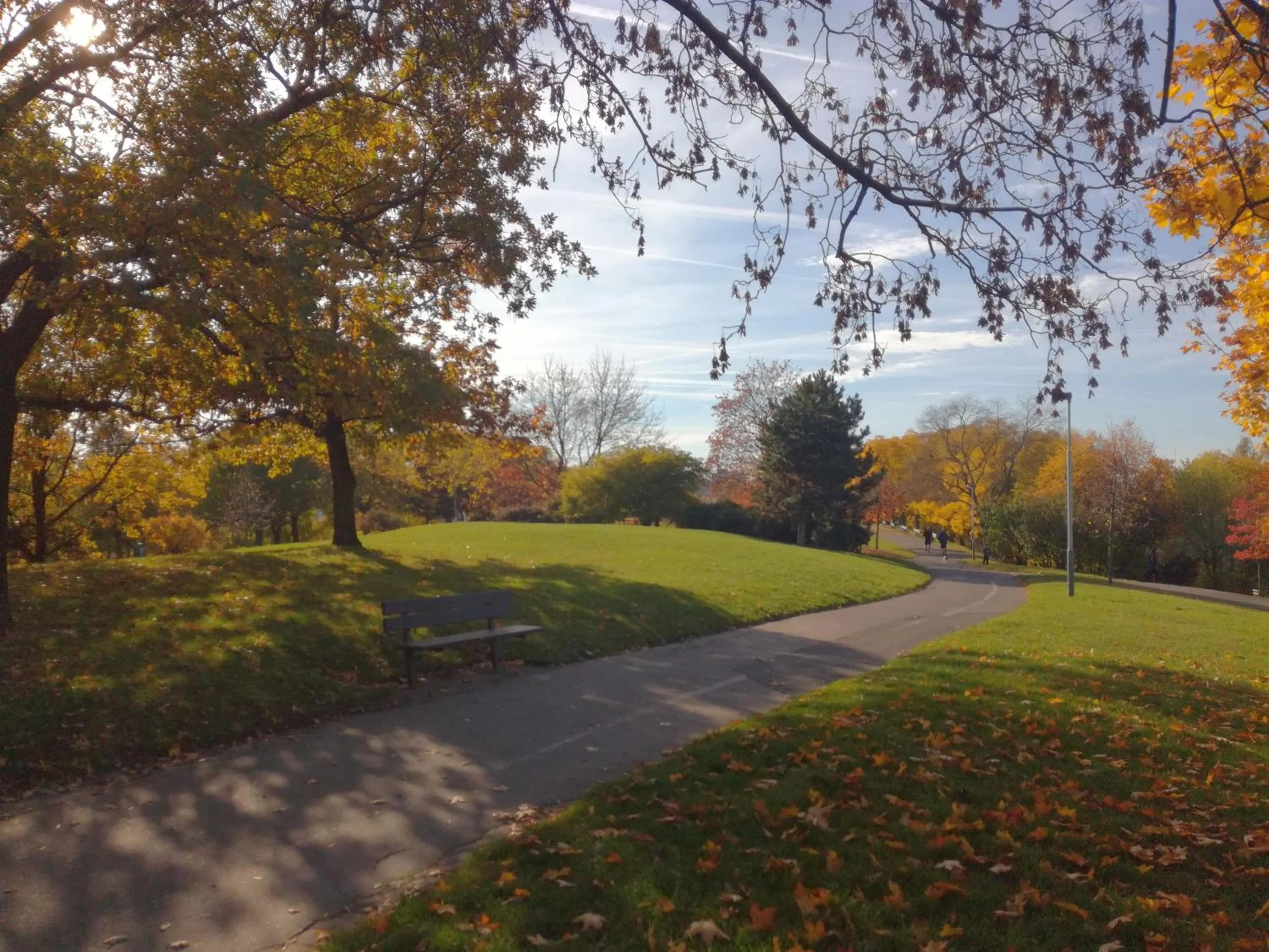 Neighbourhood in University Hotel