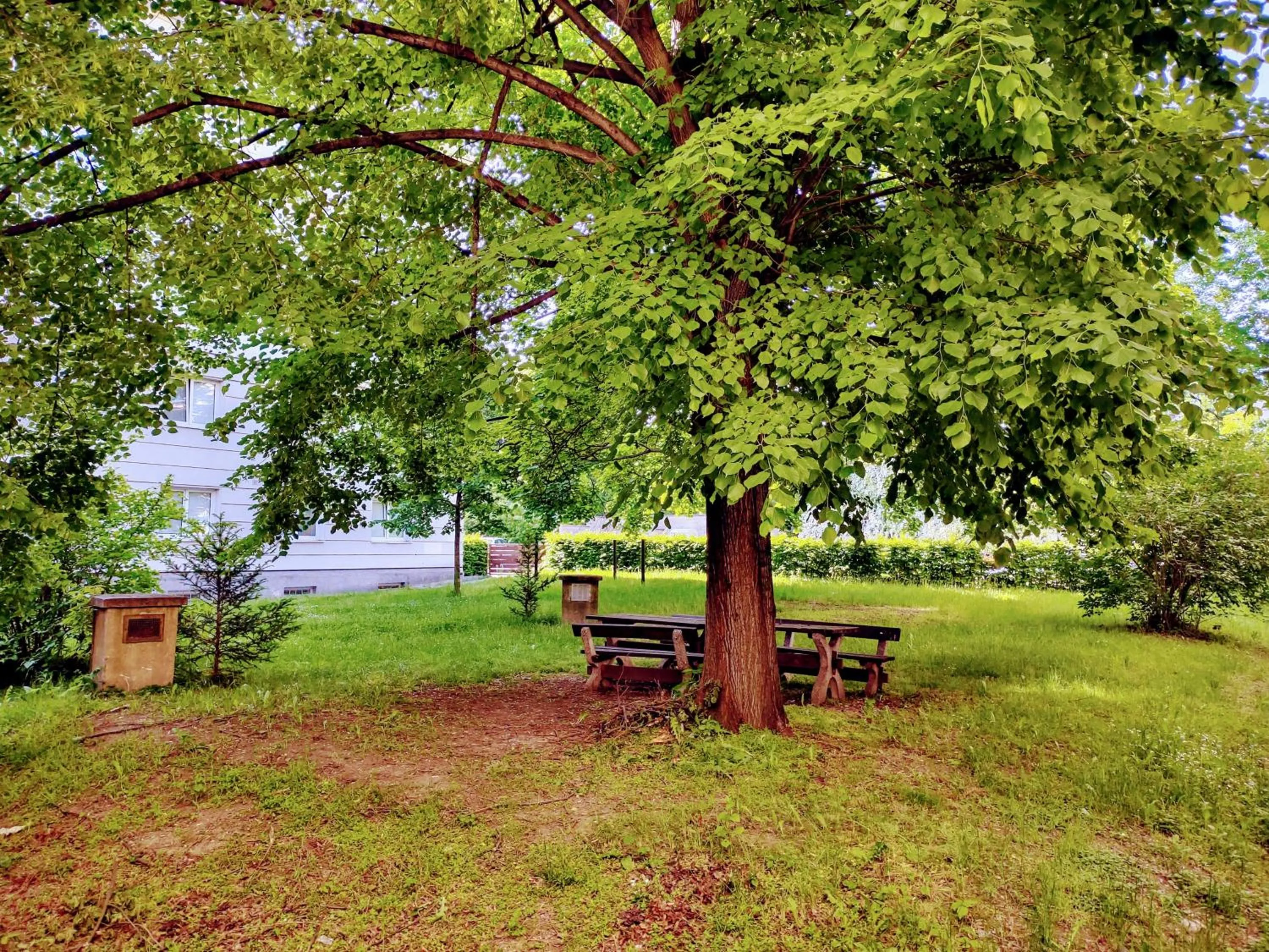 Garden in University Hotel